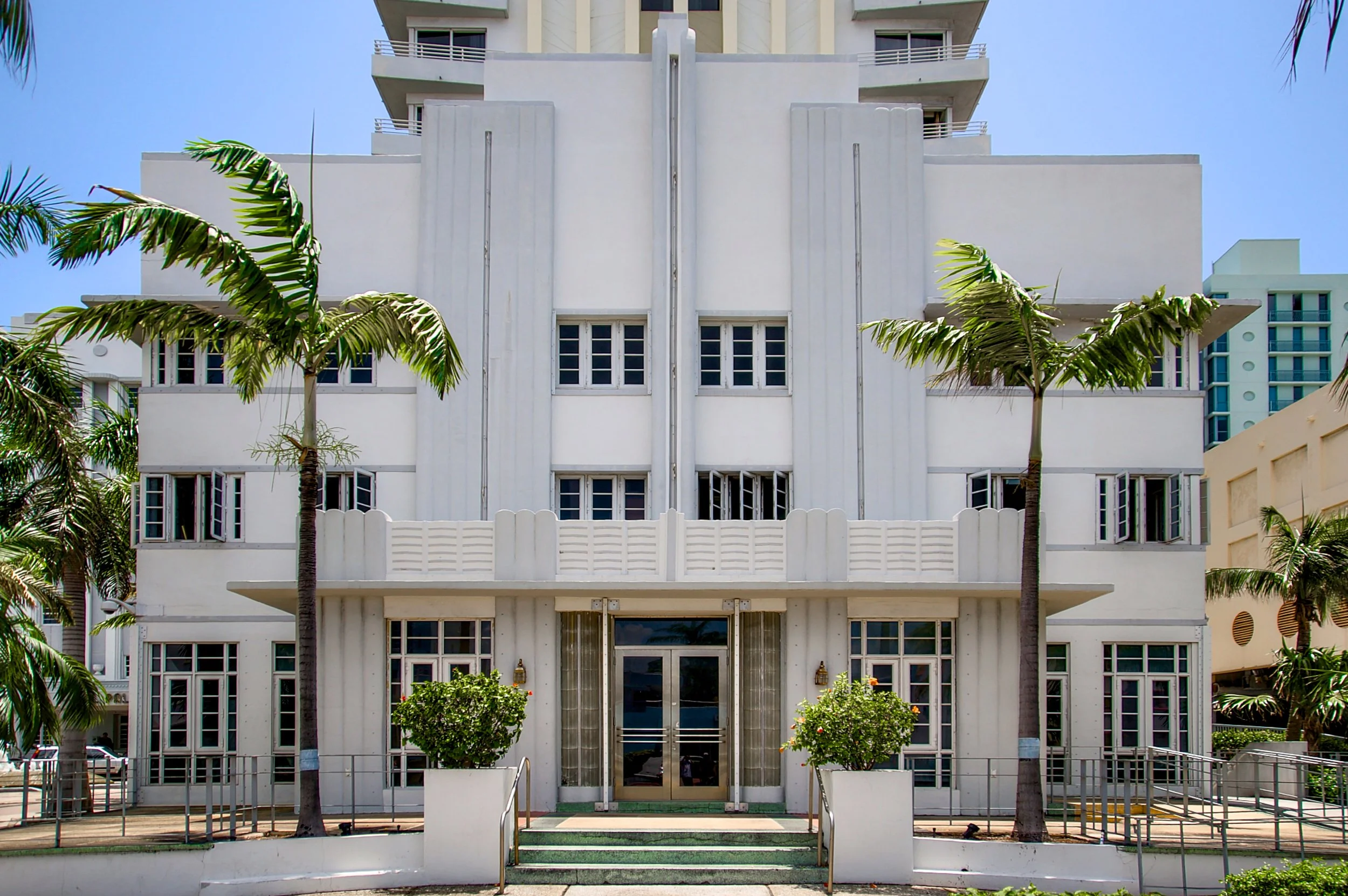 ROYAL PALM.JPG