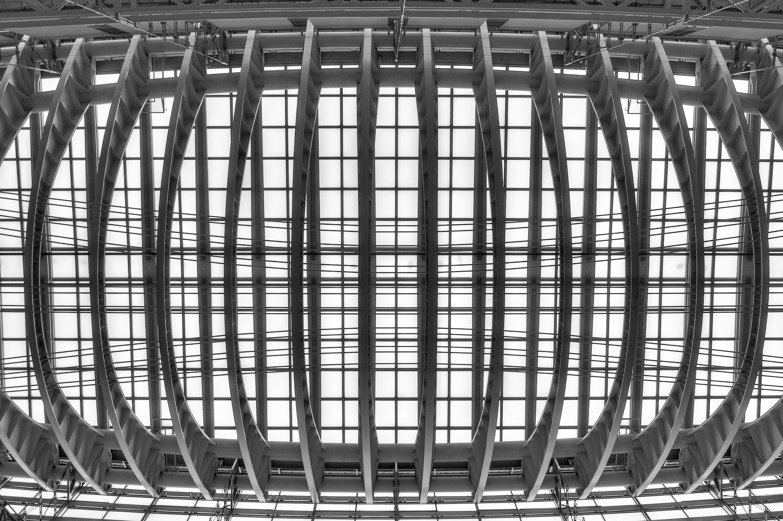 FORUM ROOF.jpg