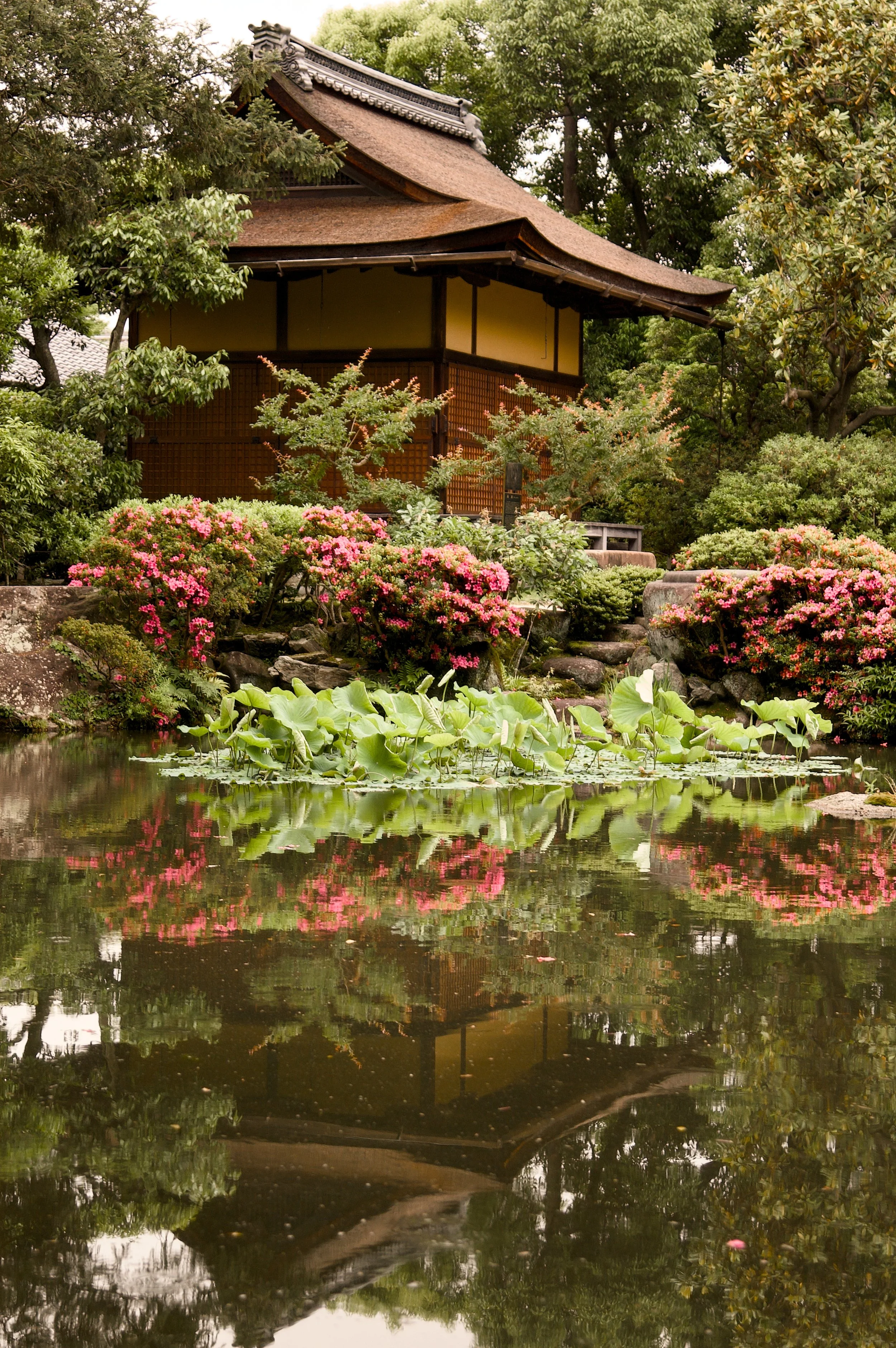 TEAHOUSE.jpg