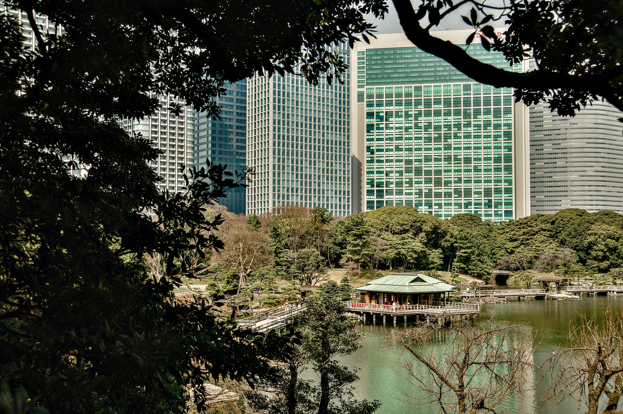 HAMARIKYU.jpg