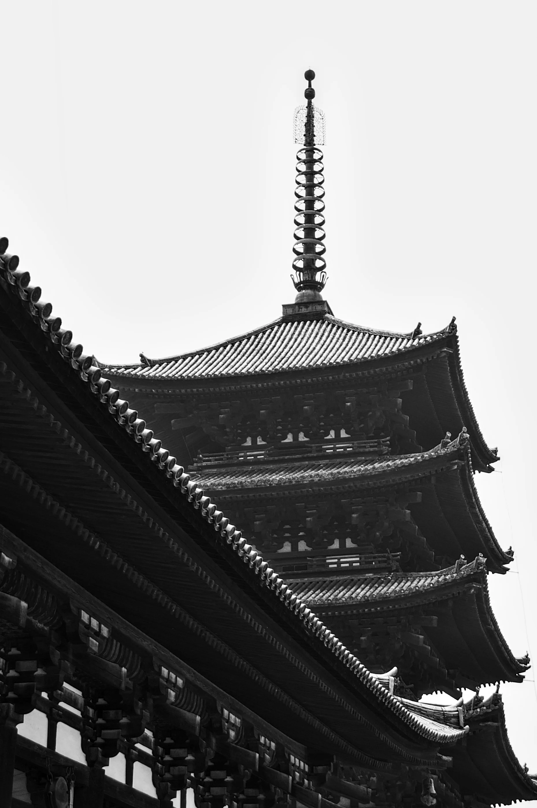 TEMPLE BLACK.jpg