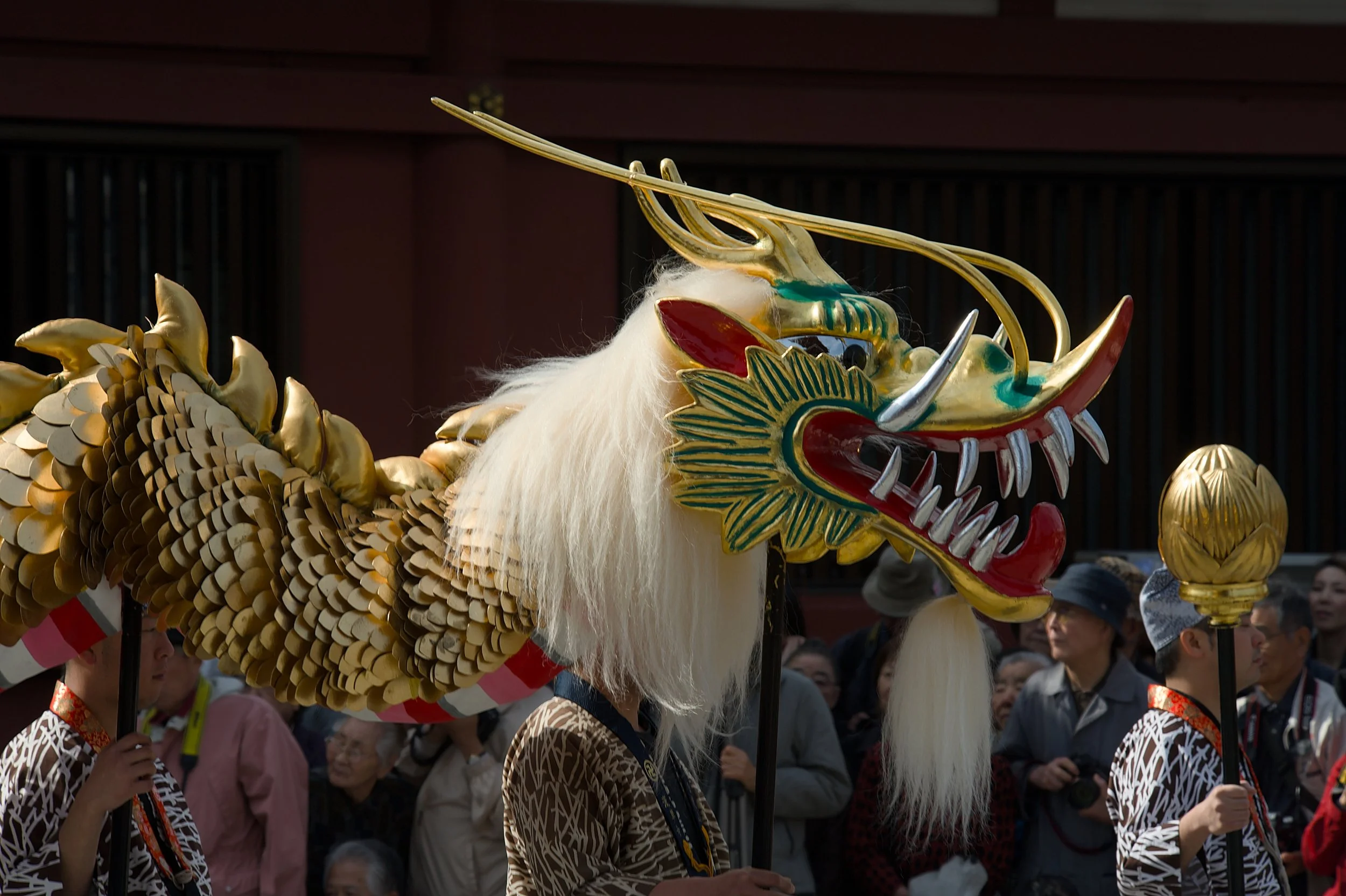 PARADE DRAGON.jpg