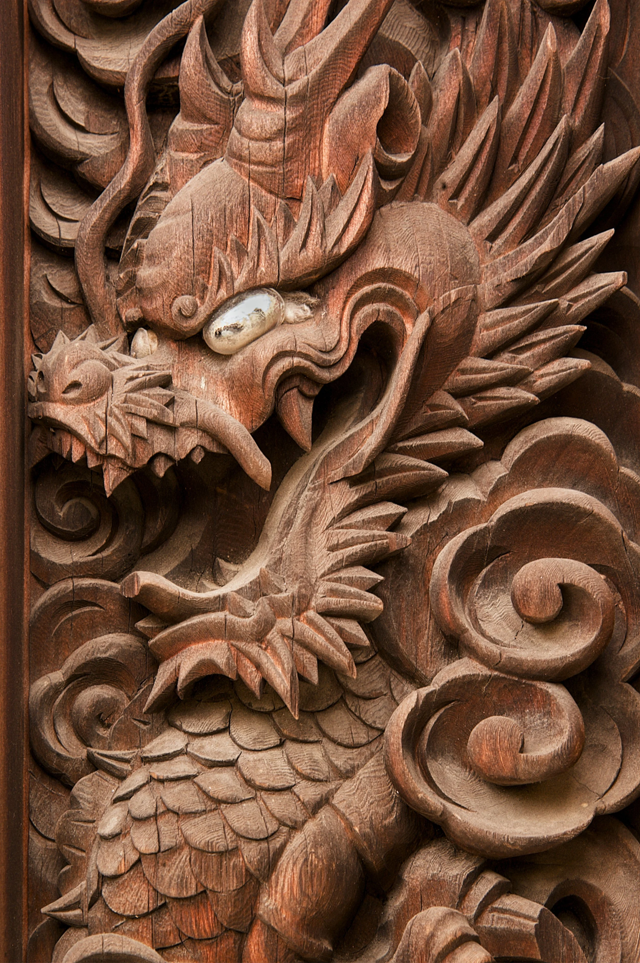 DRAGON.jpg