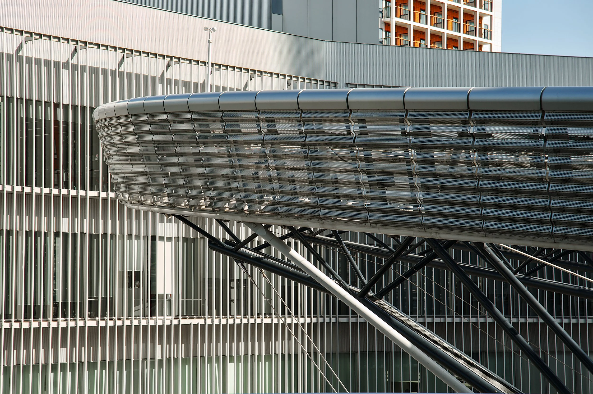 TOKYO COURTYARD.jpg