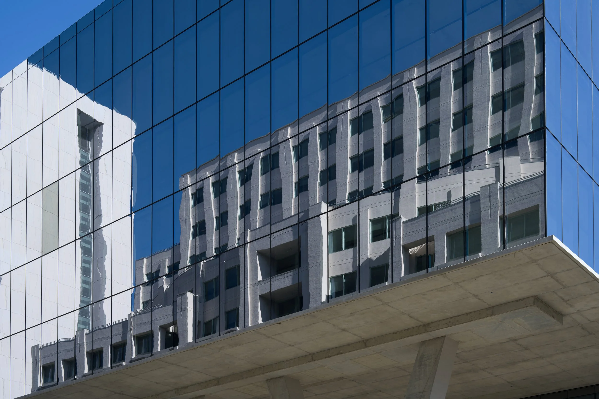 SAN DIEGO REFLECTION 2.jpg