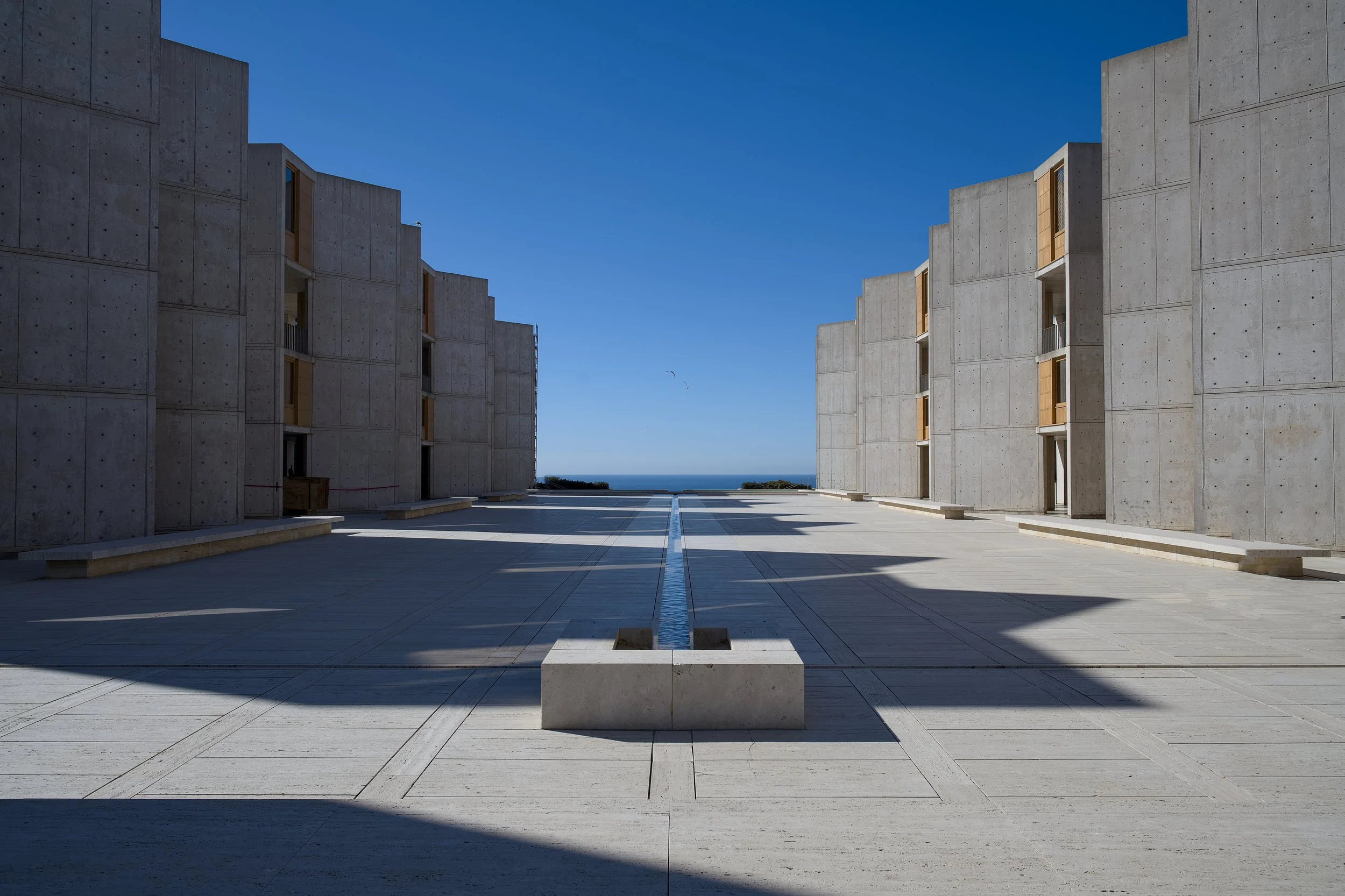 LAJOLLA SALK.jpg