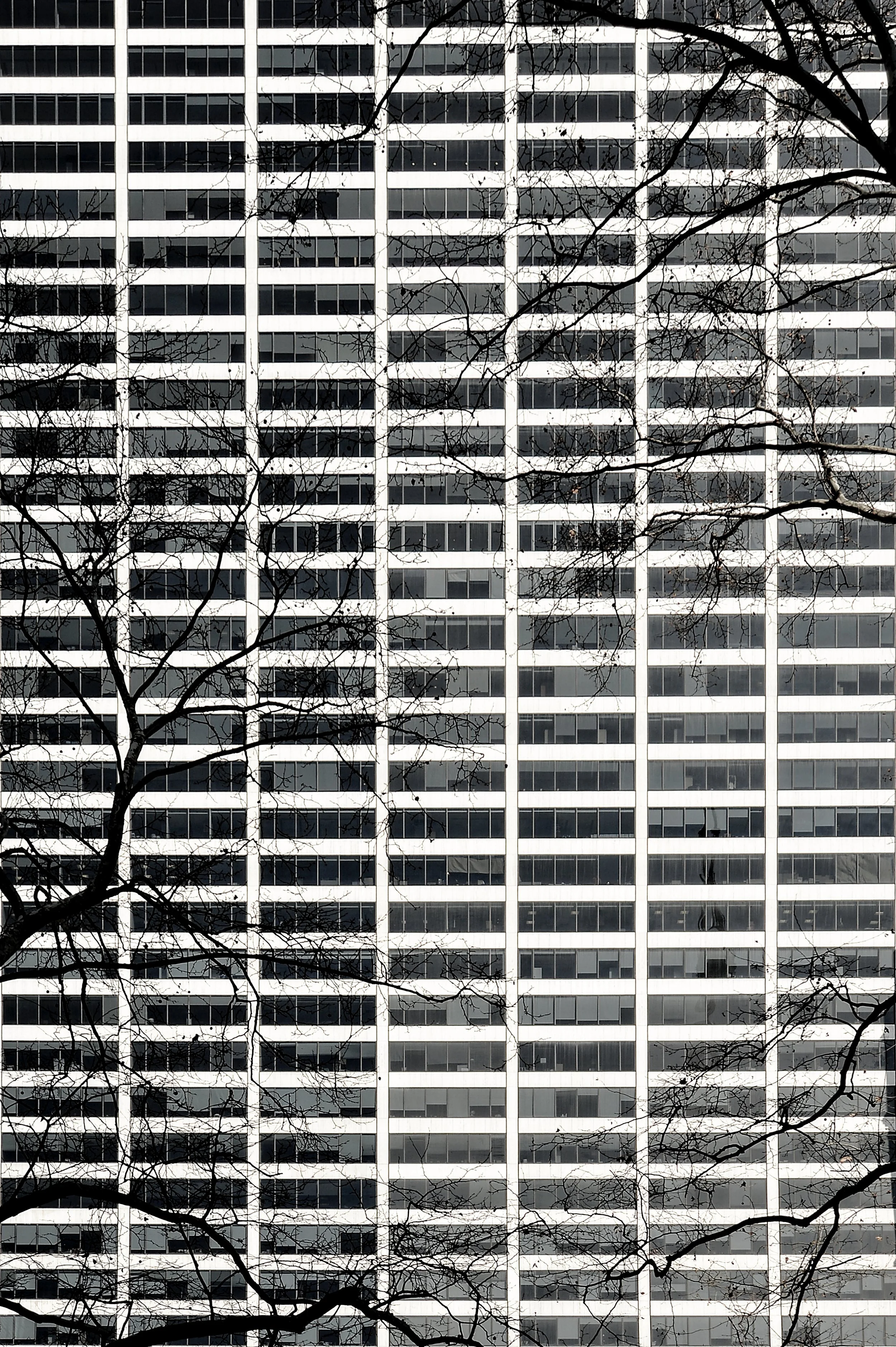 Grid with Trees