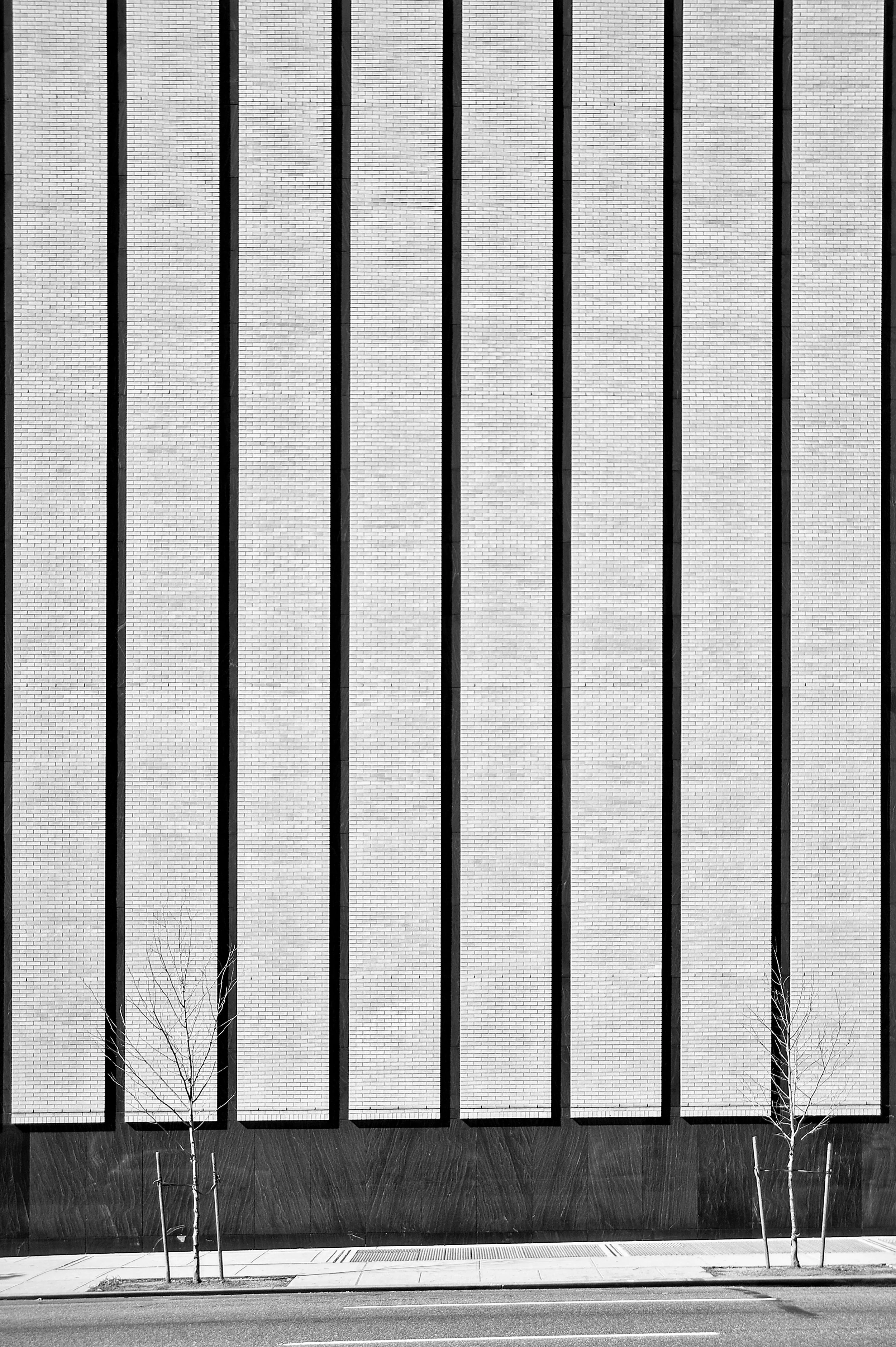 Verticality with two Trees.