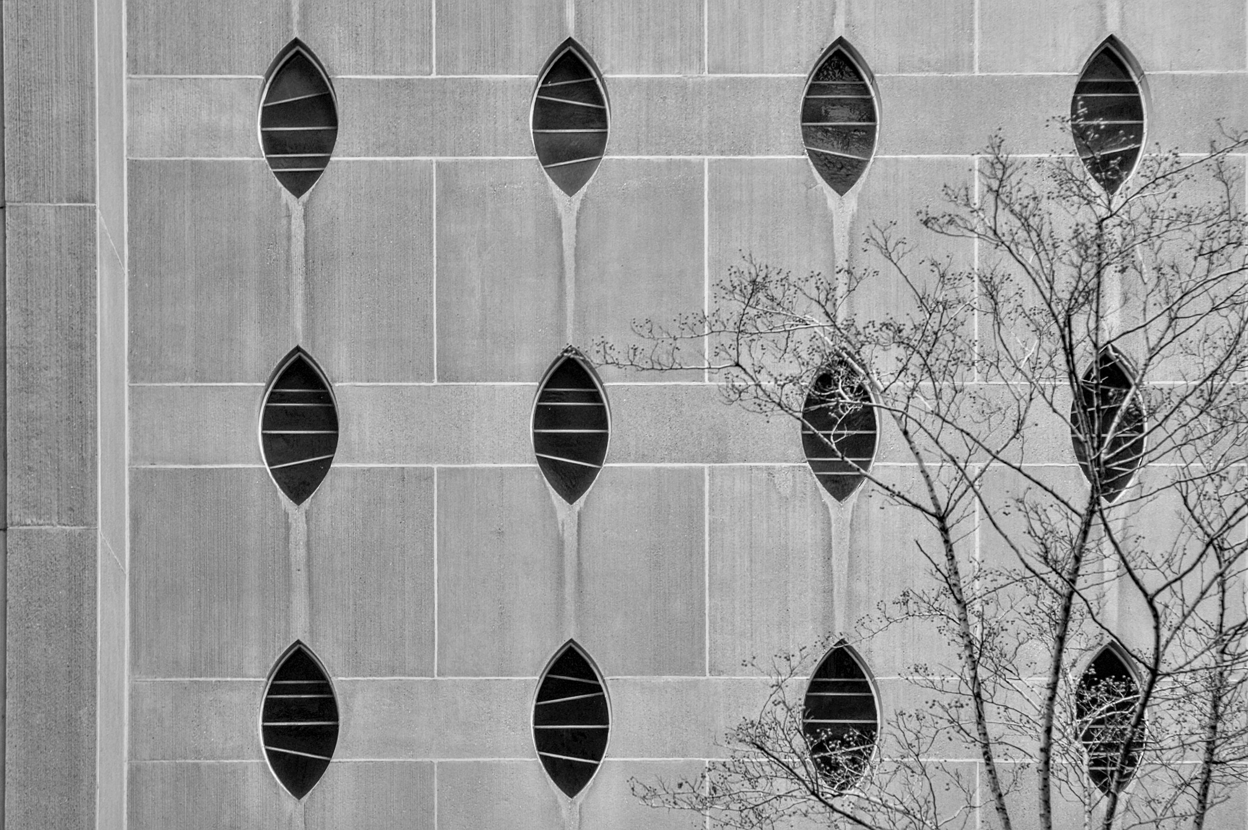 Pointed Ovals