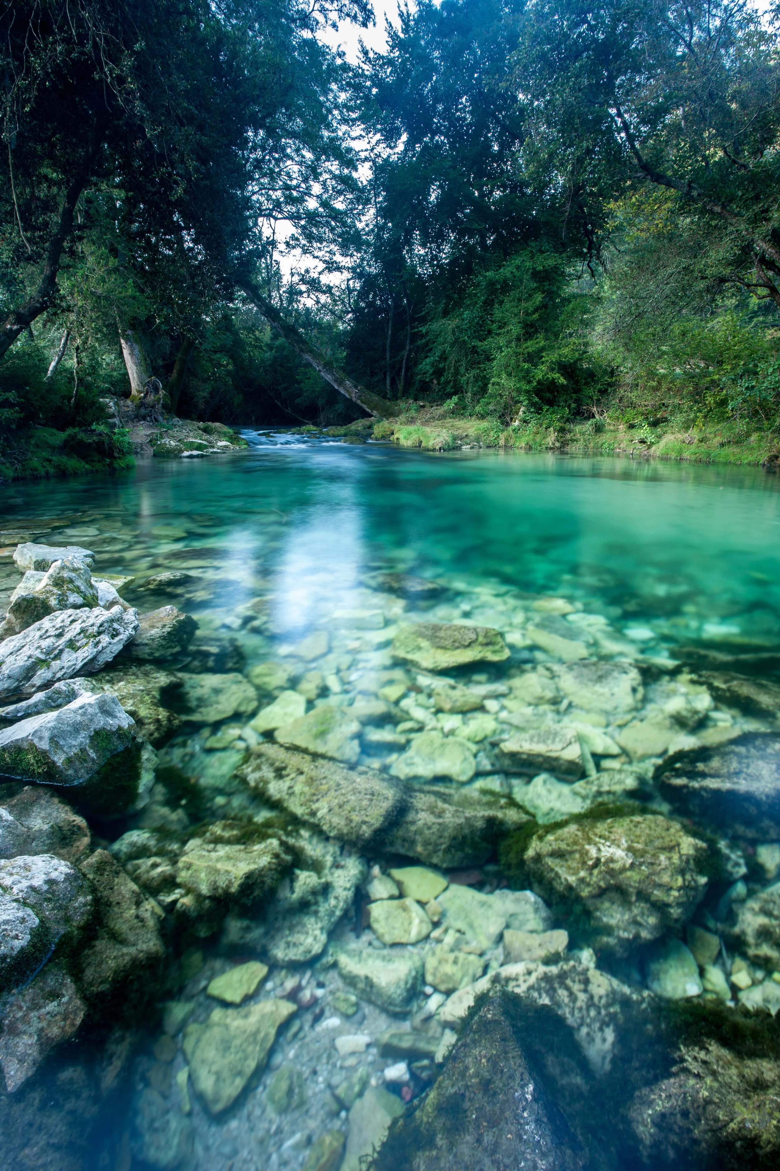 Photo by garethkirklandphotogrphy/iStock / Getty Images