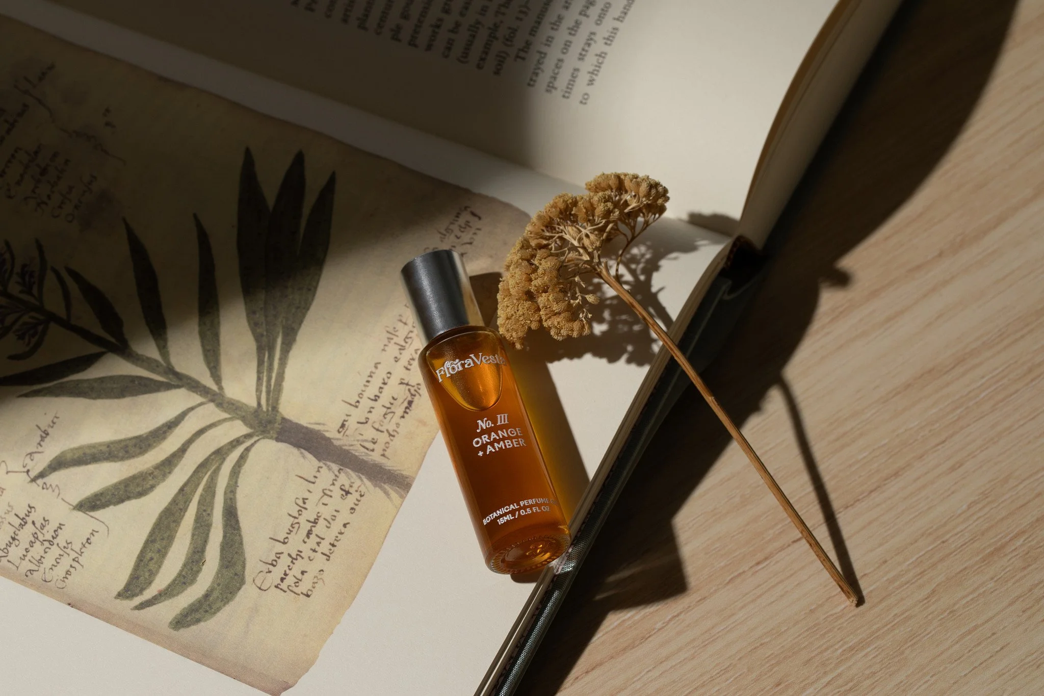 web-2d-Kate Faulk_r1_03E_7713.jpg