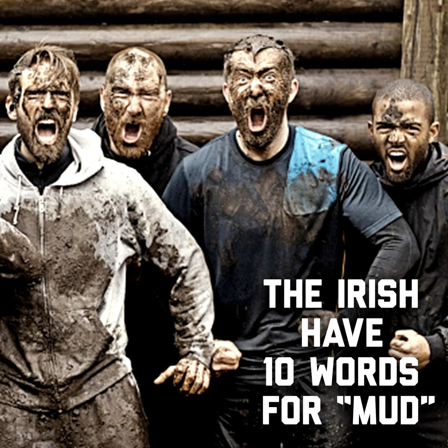 IrishSpring_Mud_v4.jpeg