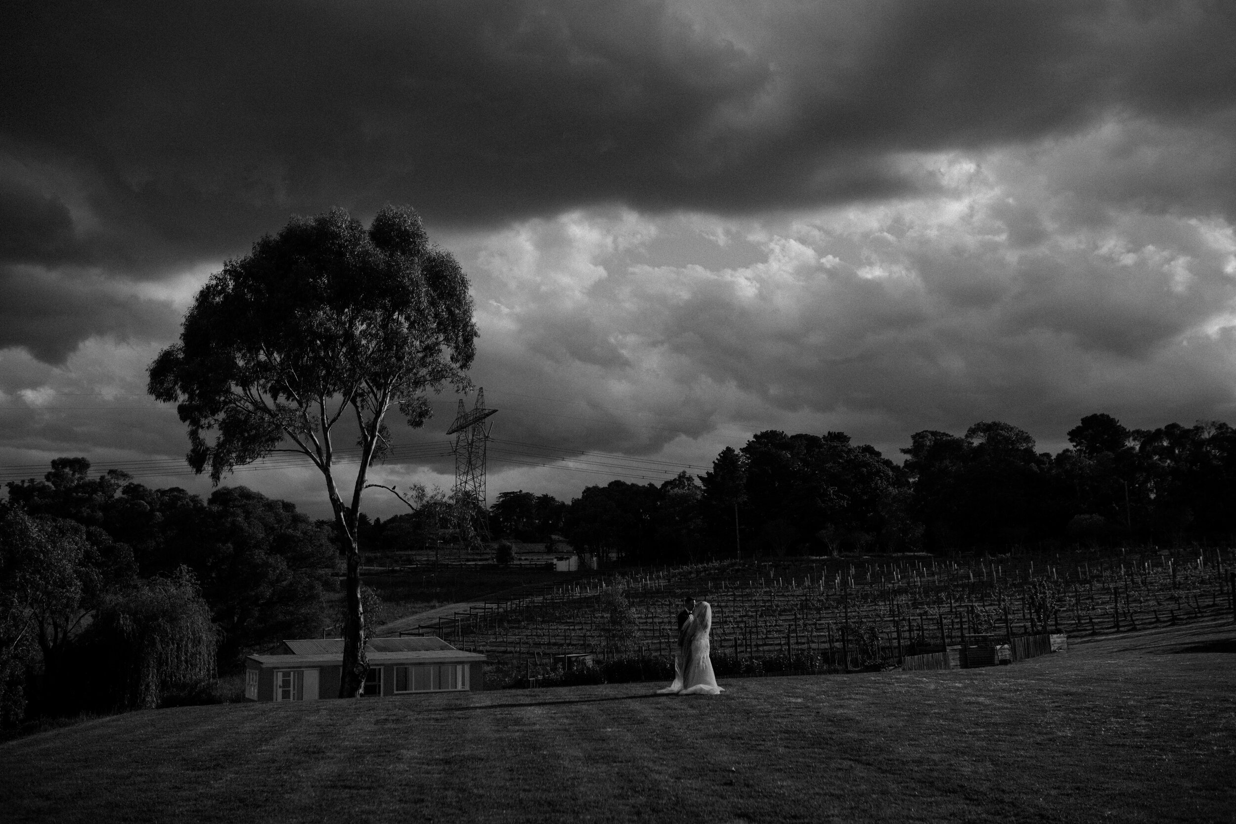 AMY+ALEX-2015.JPG