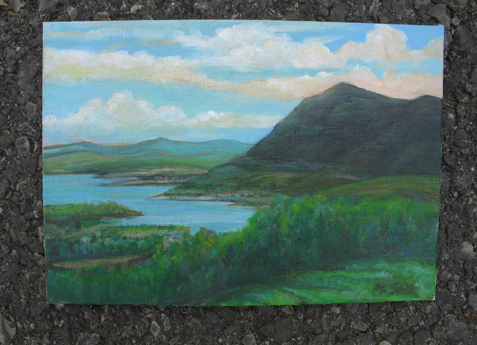 minilandscape1.jpg