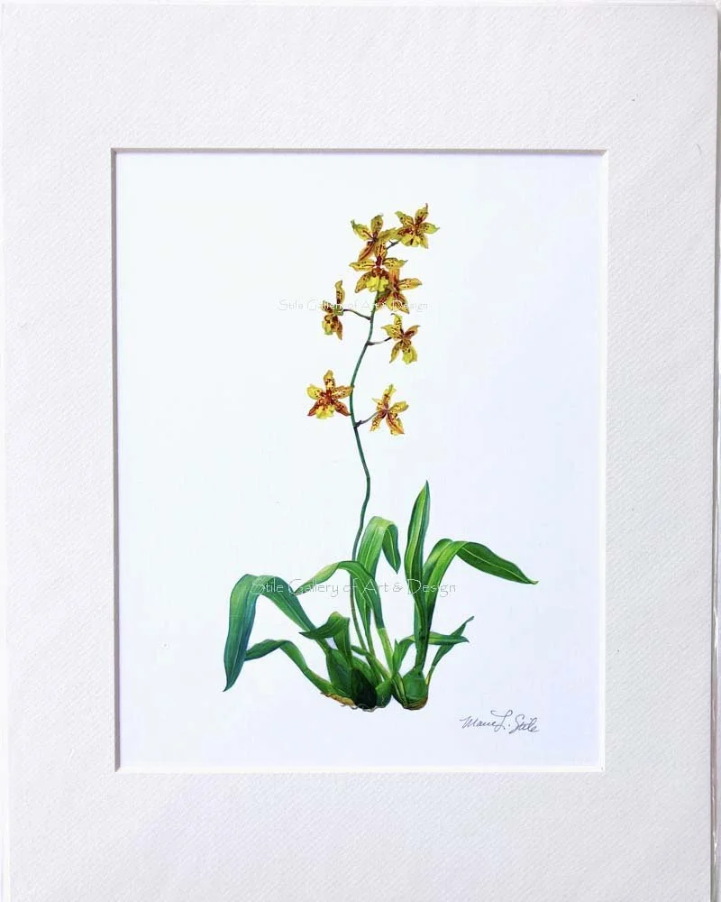 Tiger Orchid Print