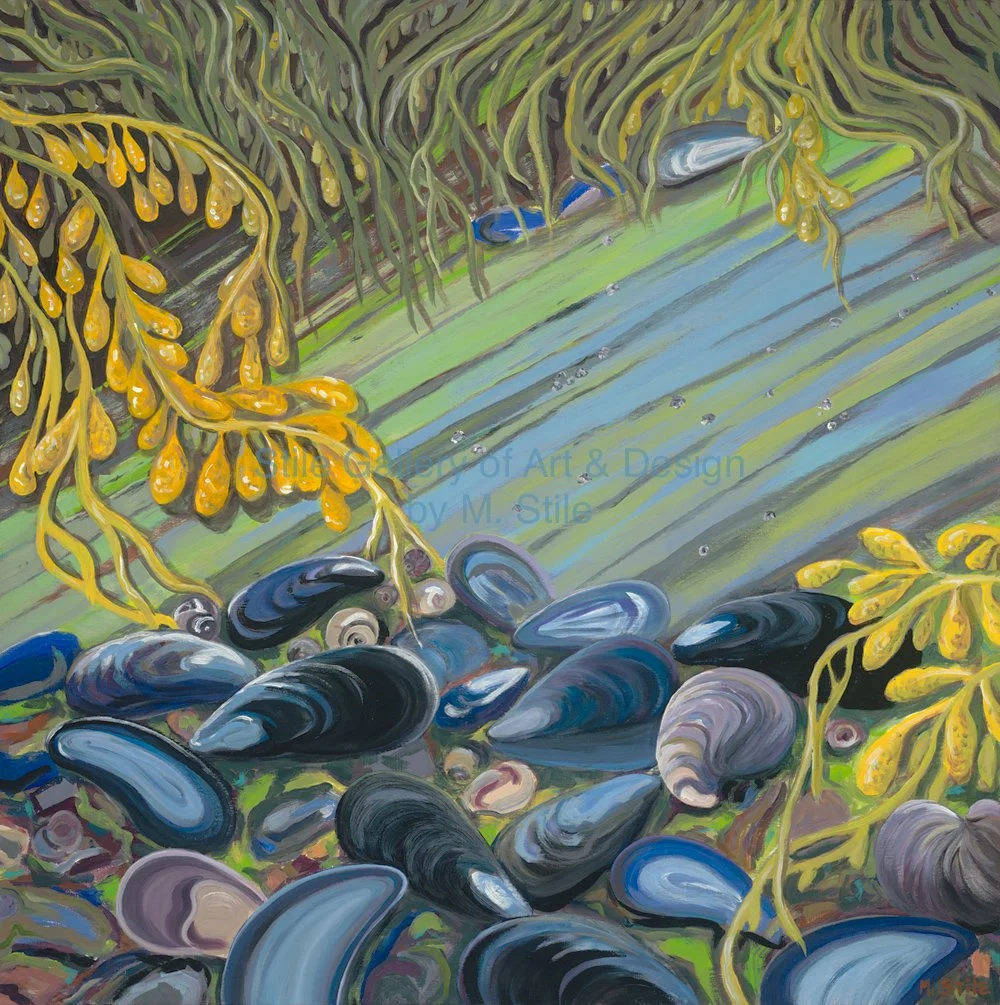 New England Rock Series#4