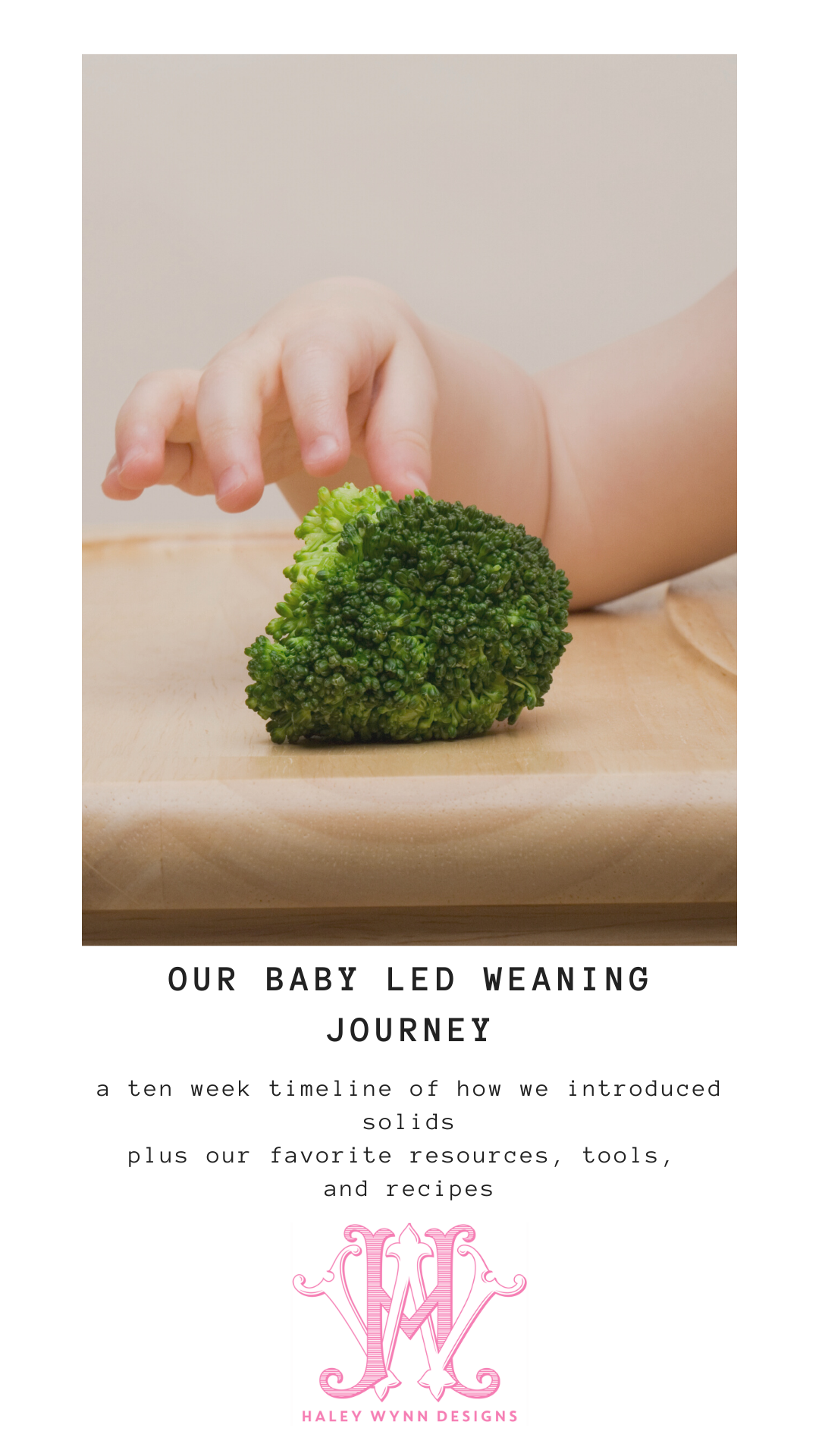 our baby led weaning journey — haley wynn designs