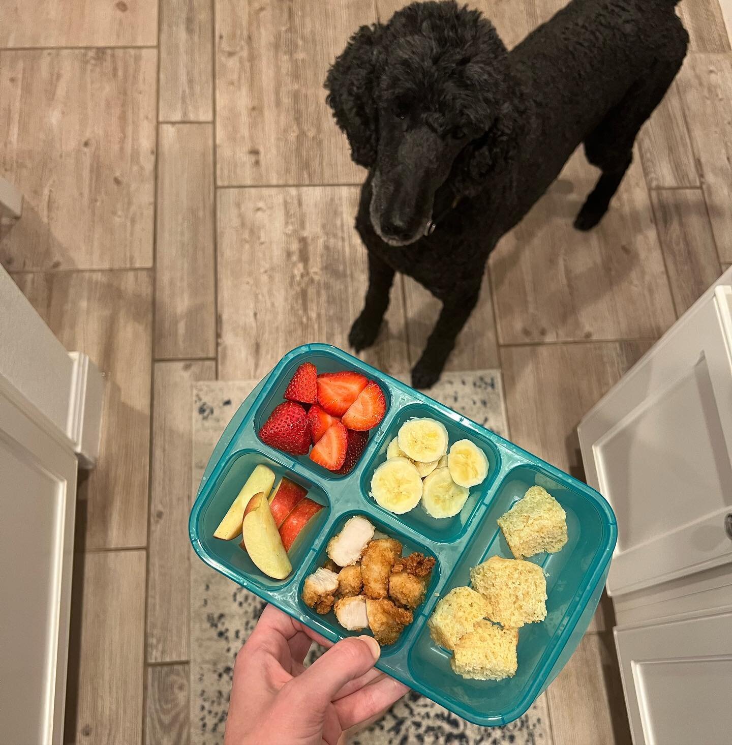 a new weekly series: a round up of the packed lunches and pool/play date snacks I remembered to photograph this week ❤️

however you feed your family is wonderful. this is just a few ways I feed mine ❤️