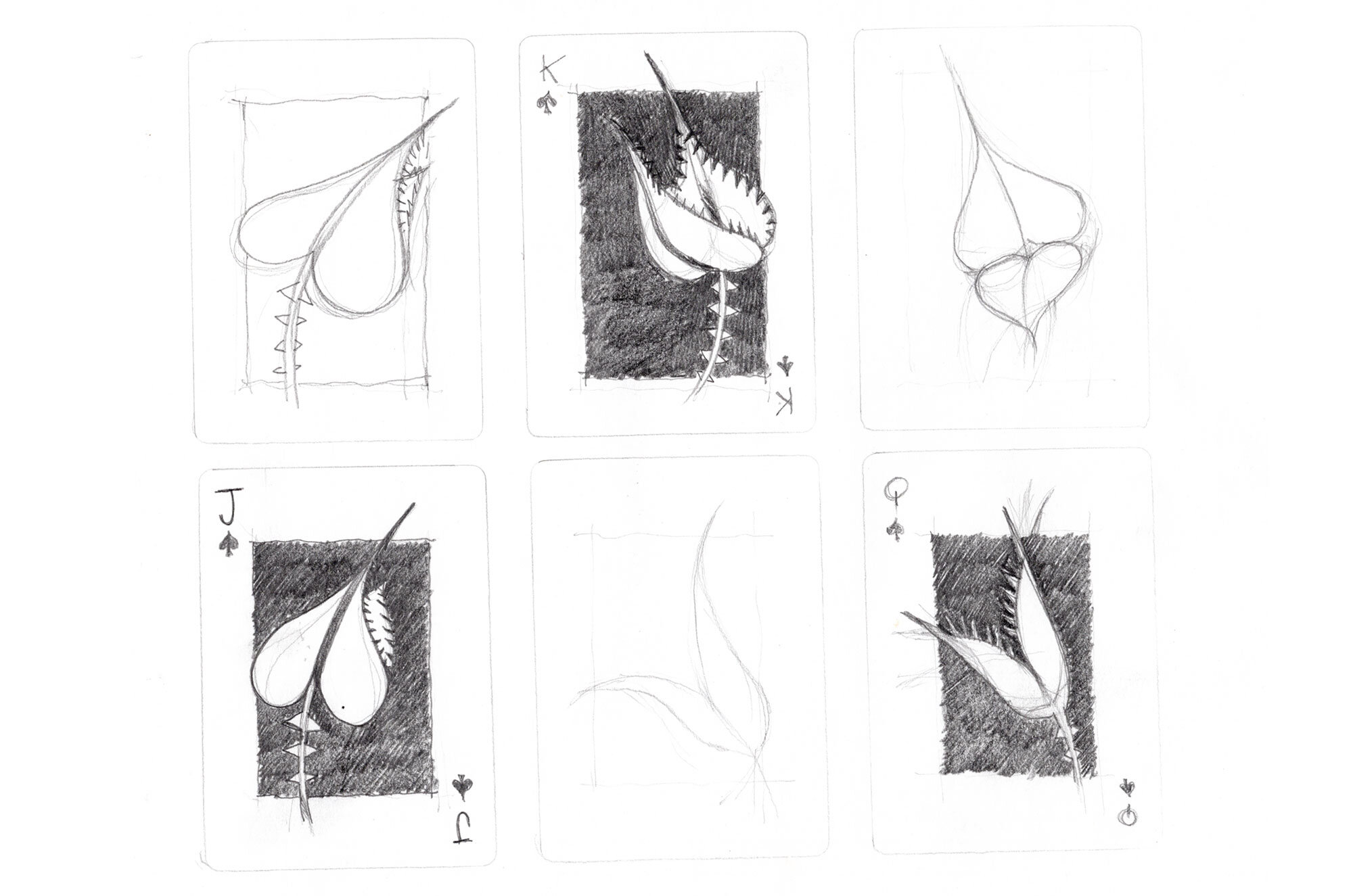 Spades face cards