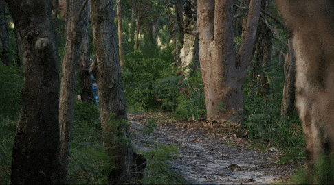 NEW SINGLE: Charlie Needs Braces 'Wompoo' + Upcoming Album NYAA WA 