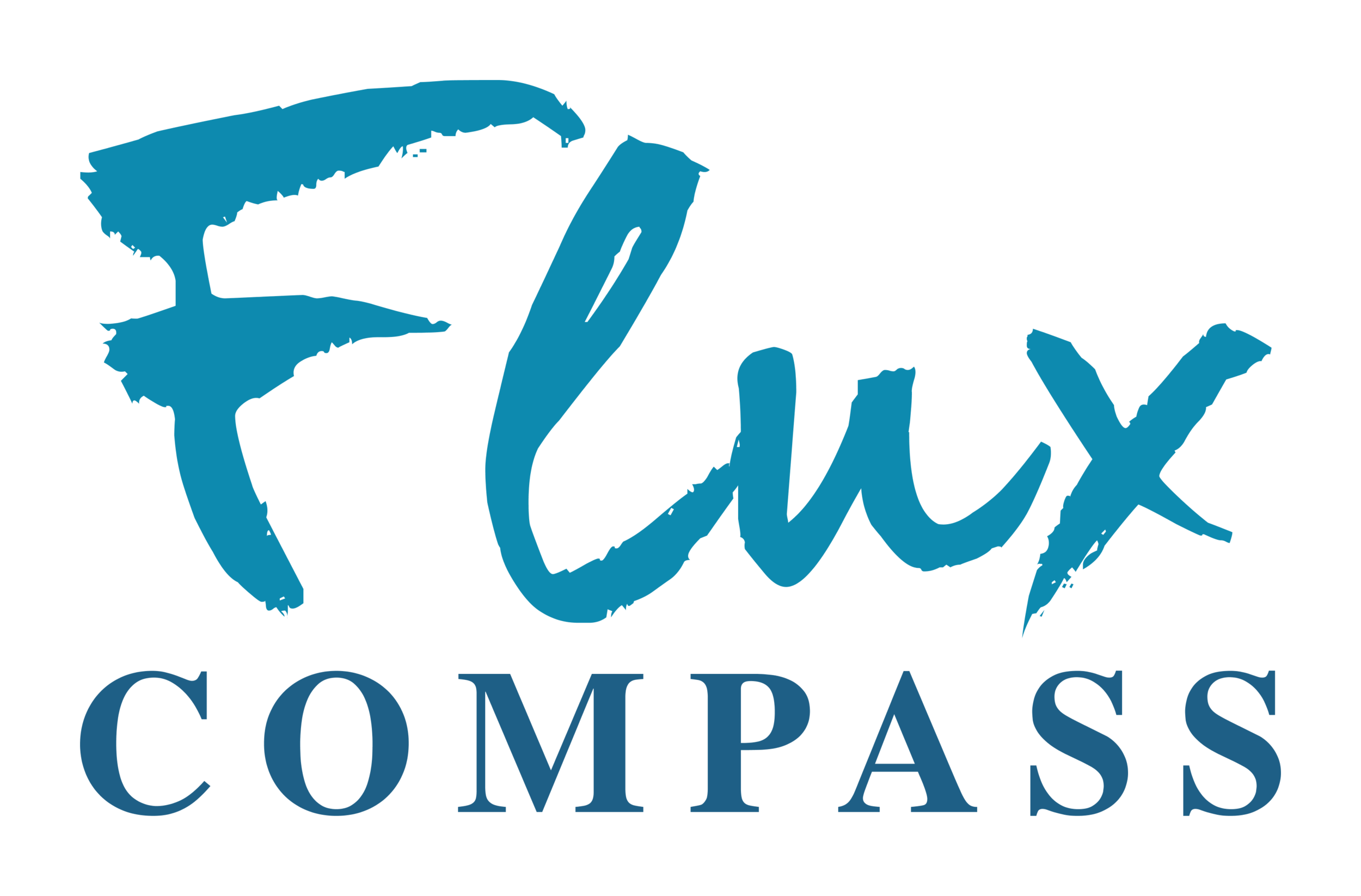 Flux Compass