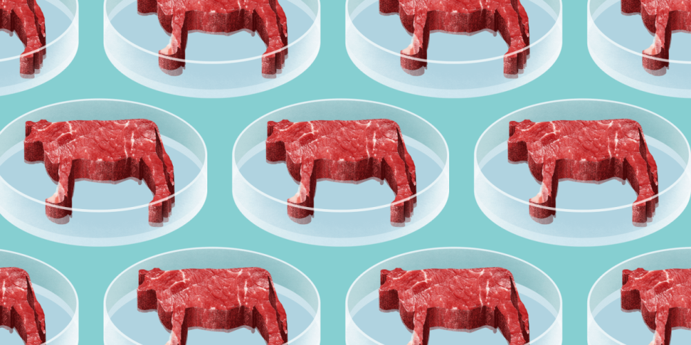 From Plant-Based to Cell-Based Meat (AKA Clean Meat)