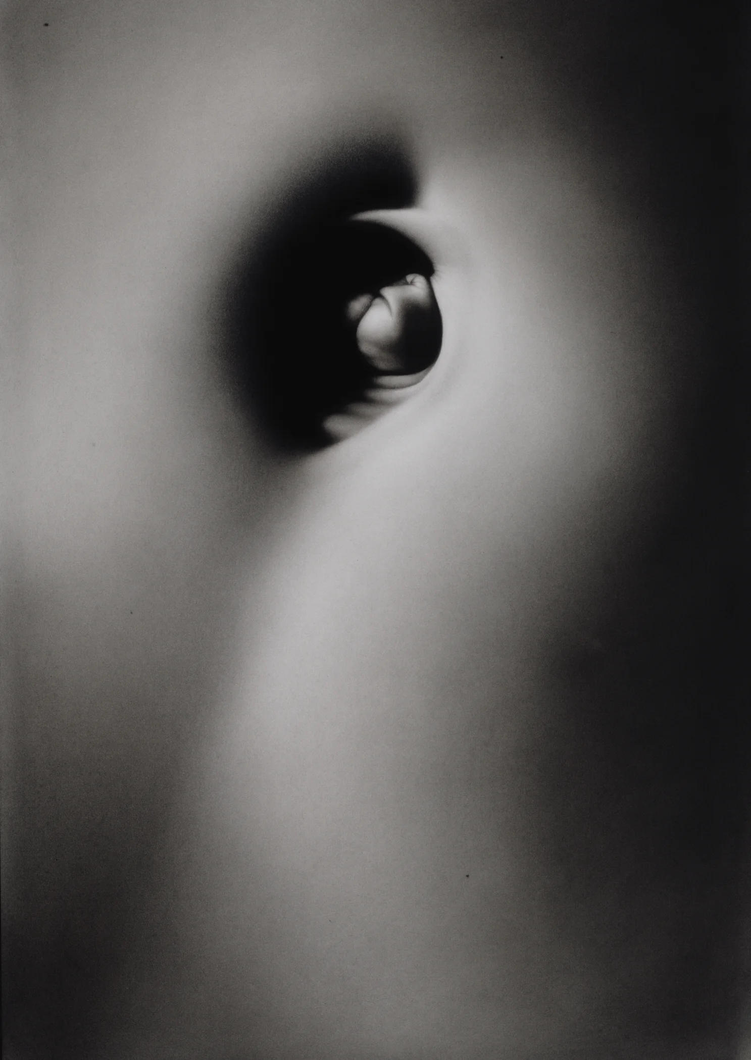 Paragon, 60 x 42 in, charcoal and pastel