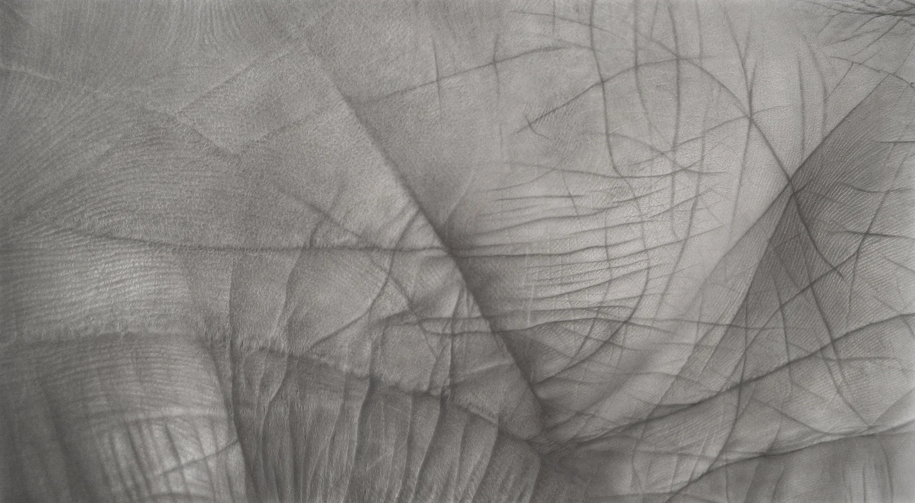 Aevum, 42 x 72, Charcoal and Pastel on digital ghost print