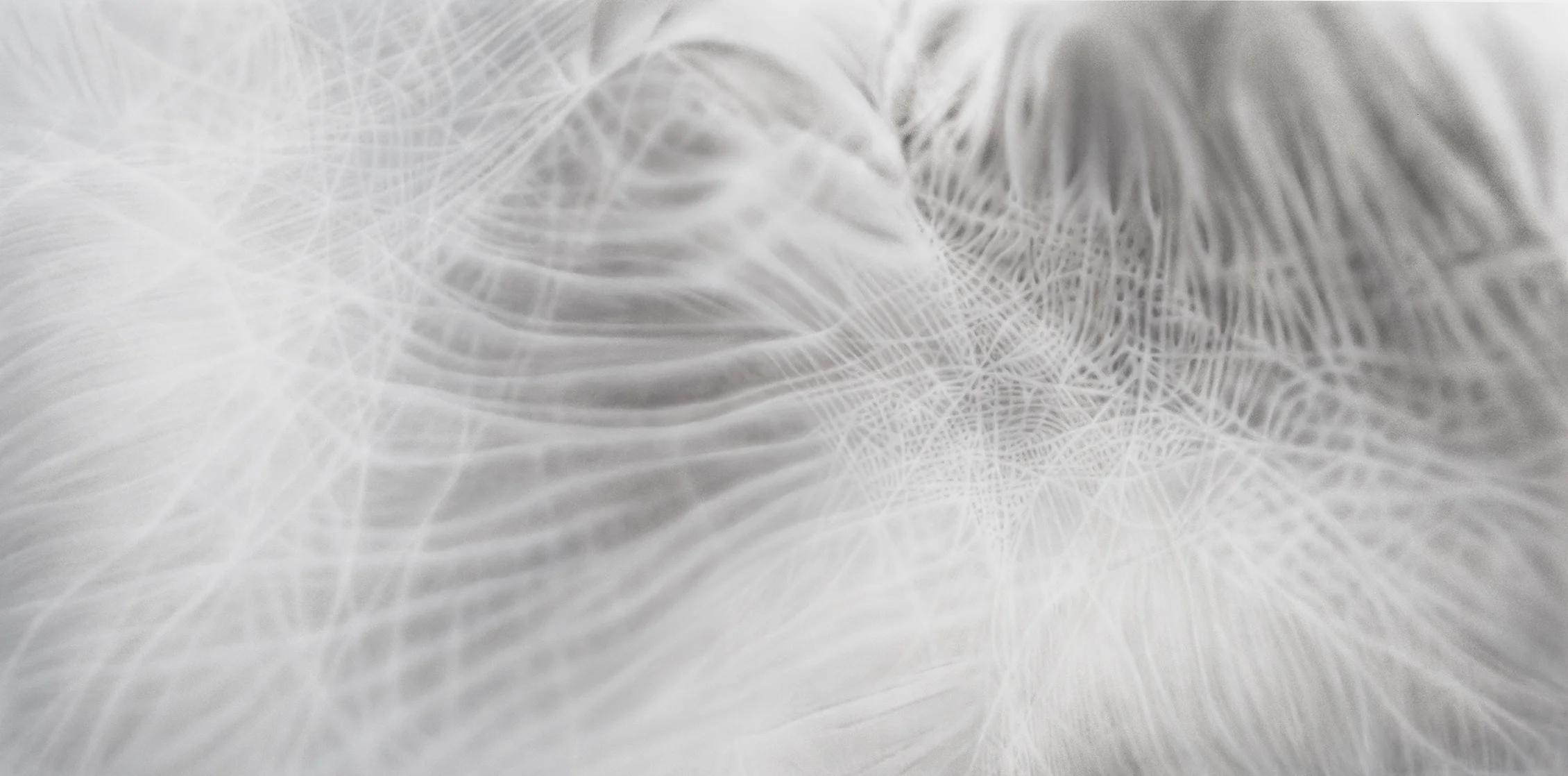 Veil , 42 x 84, Charcoal and Pastel on digital ghost print