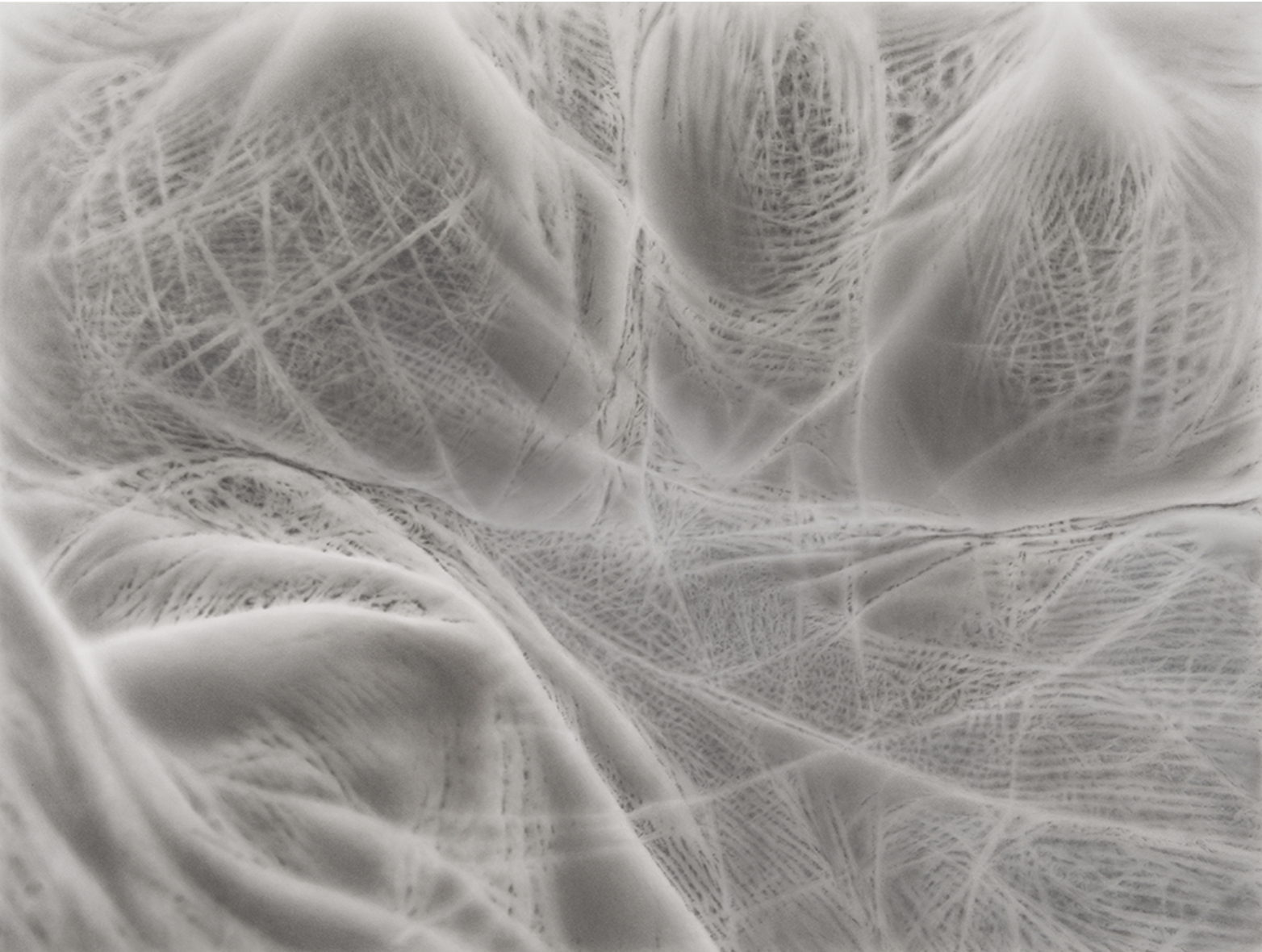 Wake, 42 x 55, Charcoal and Pastel on digital ghost print