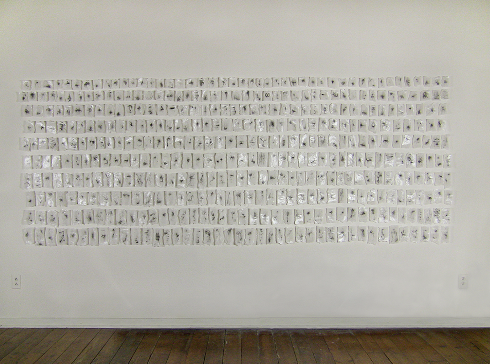 Taxonomy of Air; from the Ten Thousand Things, Install, 56 x 132” Partial Installation 450 drawings, Ink on Rice Paper, (ongoing project 2012-present)