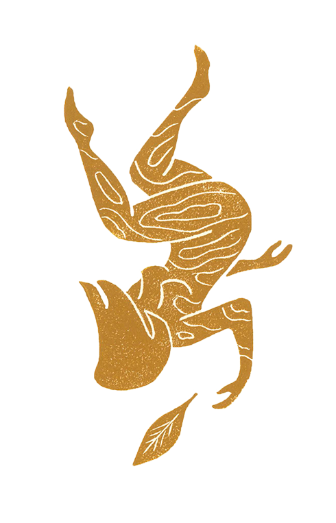 fall-crop.png