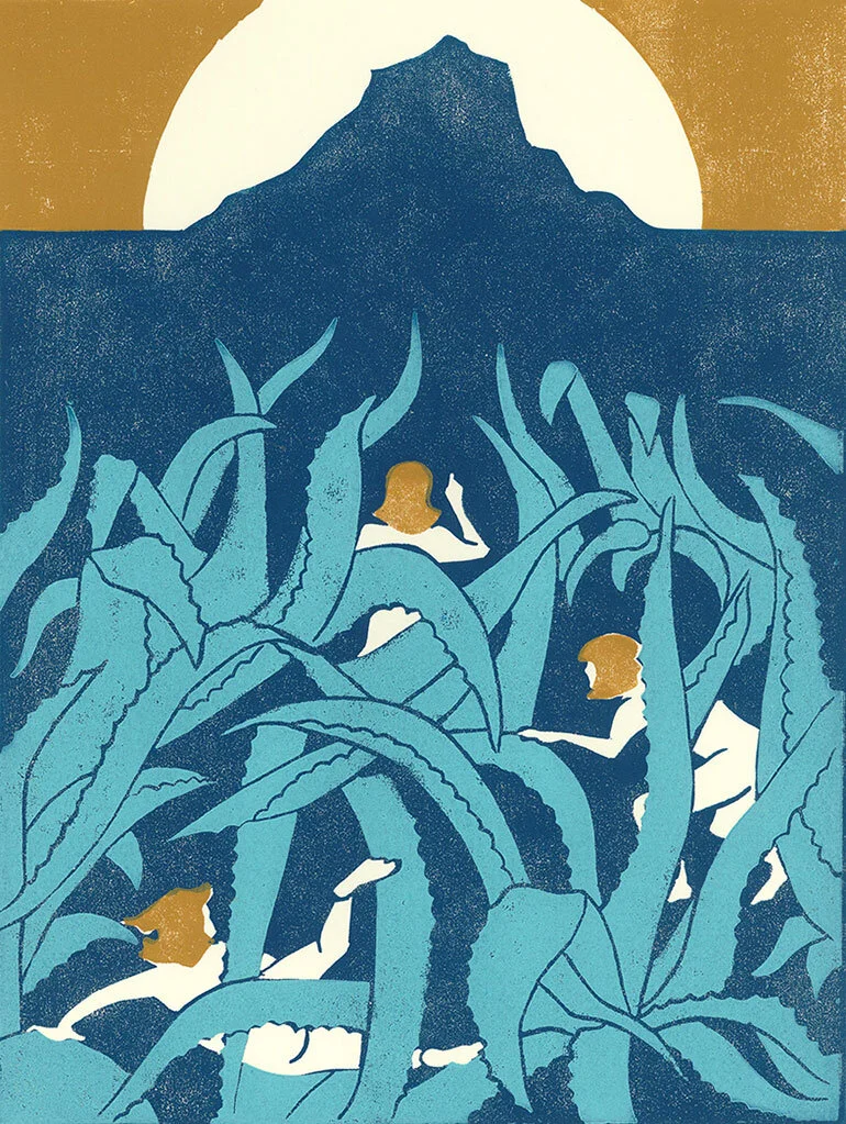 agave-crop.jpg