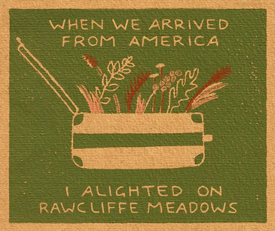 rawcliffe1.jpg