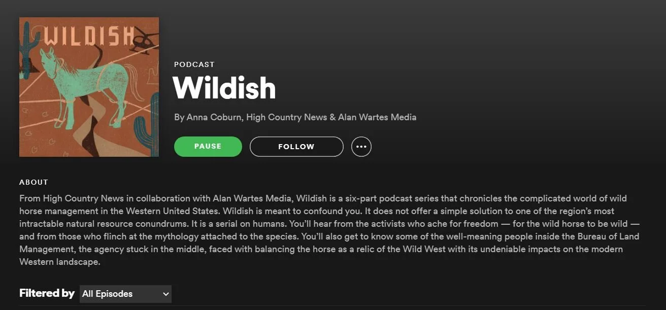 Wildish_screengrab2.JPG