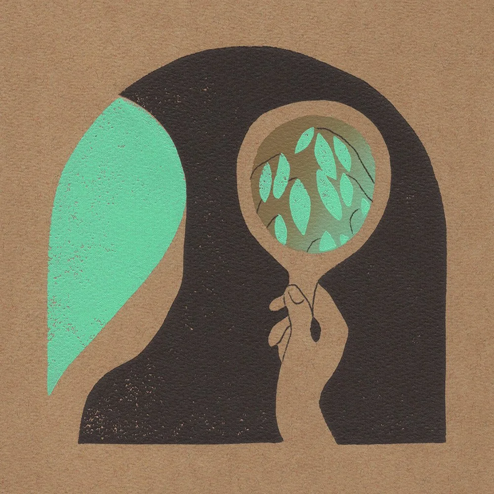 plantmirror.jpg