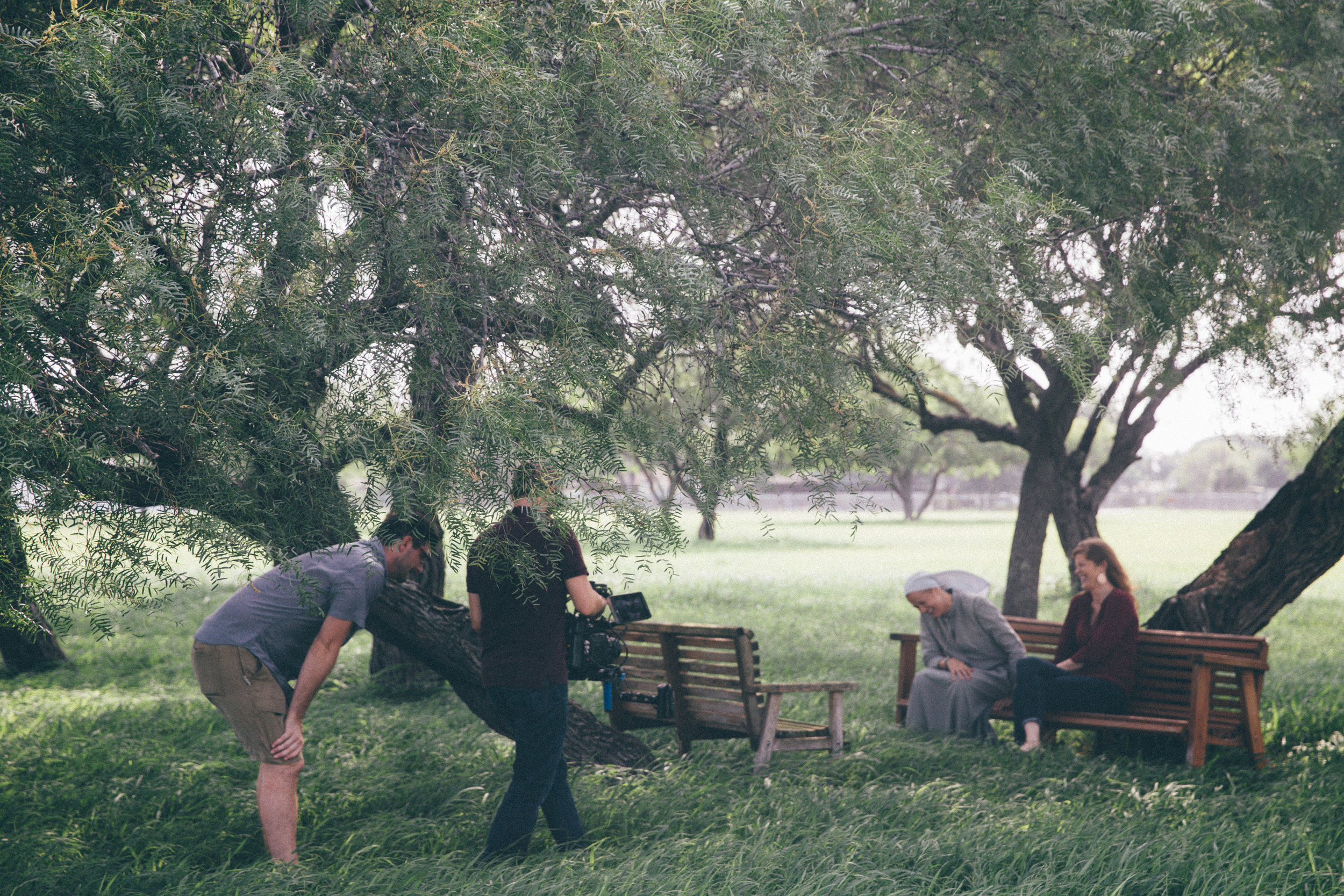 BTS Speaking to Sparrows.jpg