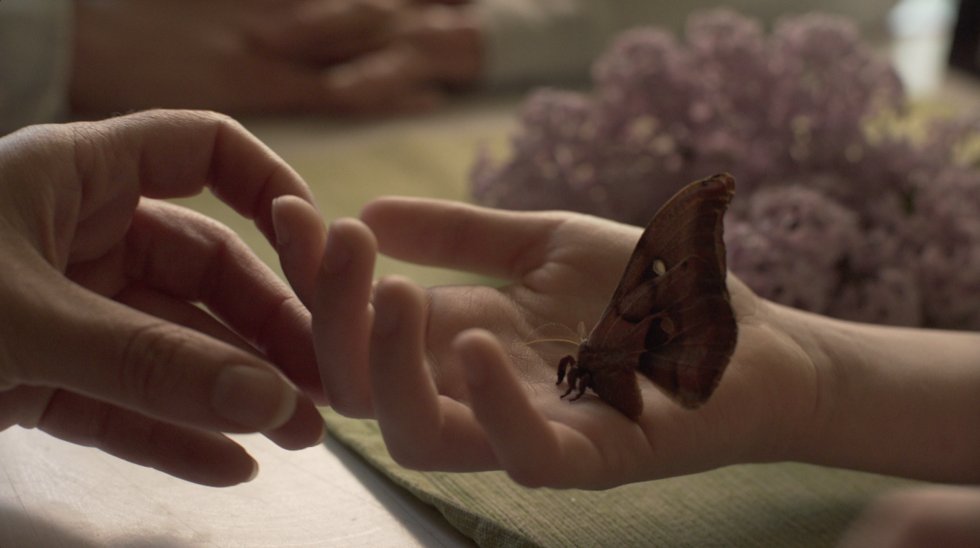 Screen Shot 2018-05-22 at 1.46.39 PM.png