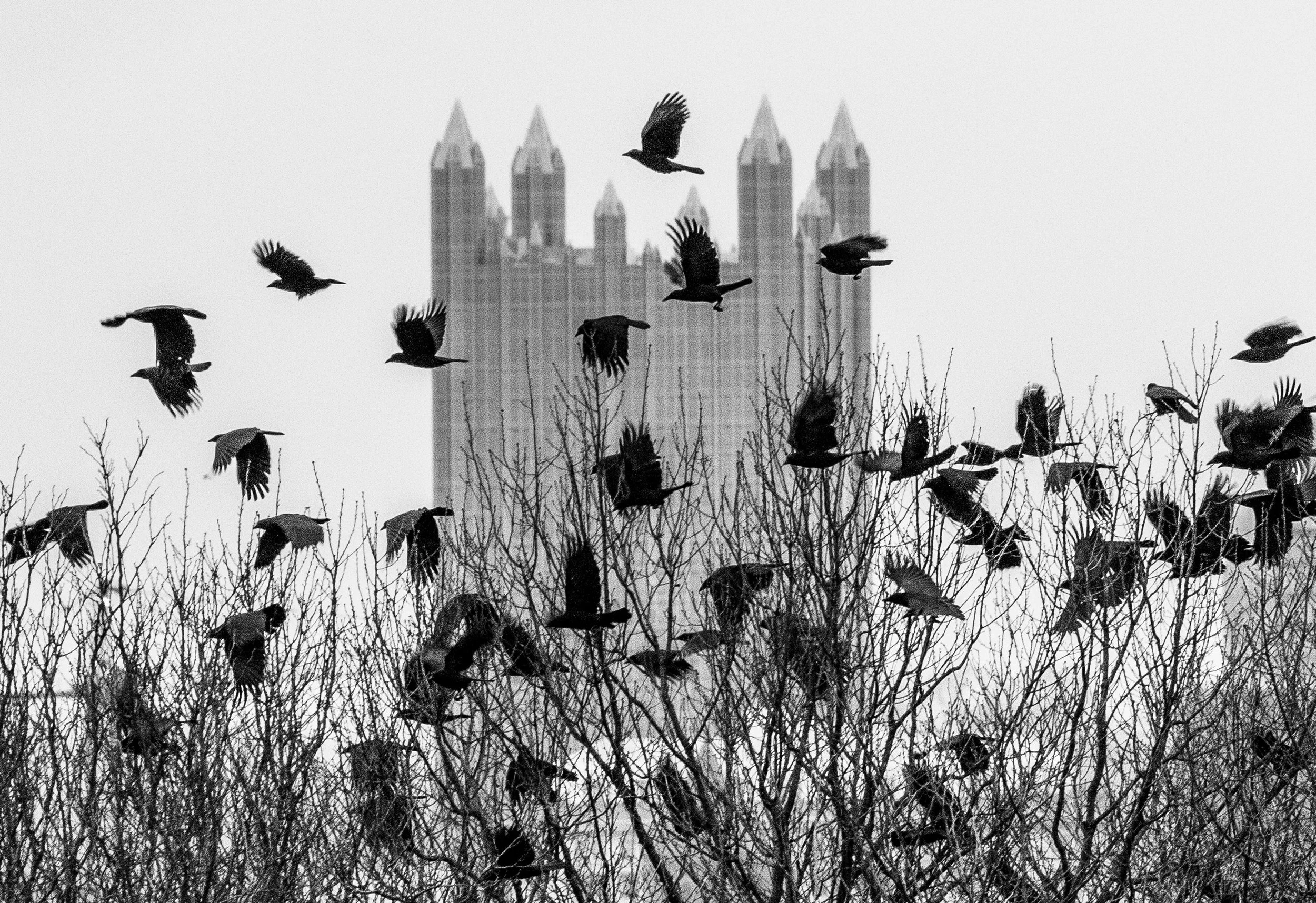 AR_Downtown_027.JPG
