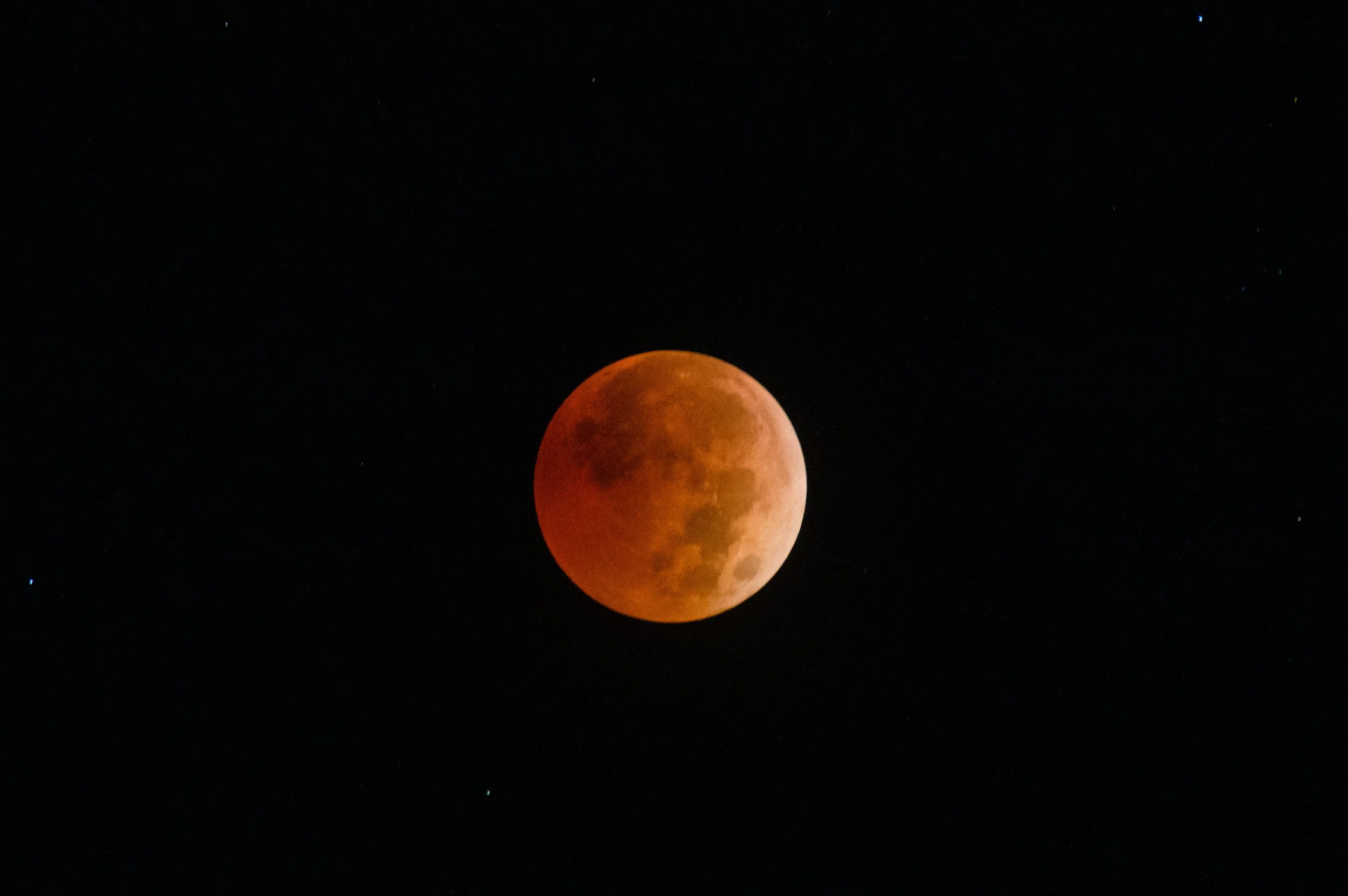 4W9A9902.jpg