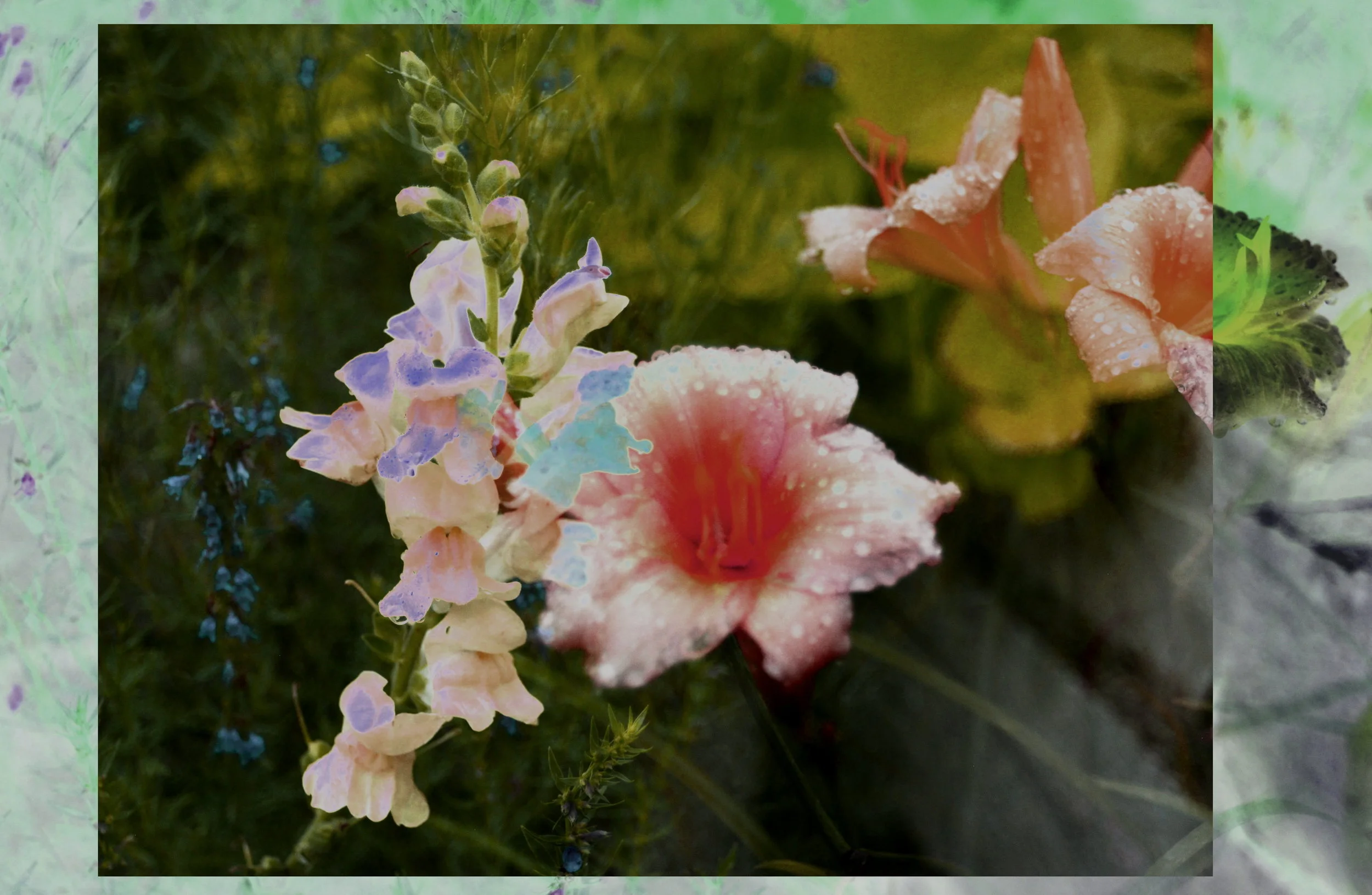 c c DSC_9304 2.jpg