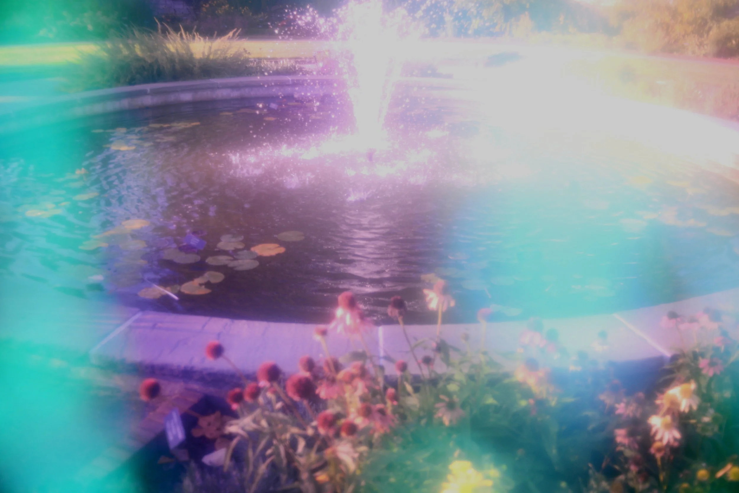 c DSC_1513 3.jpg