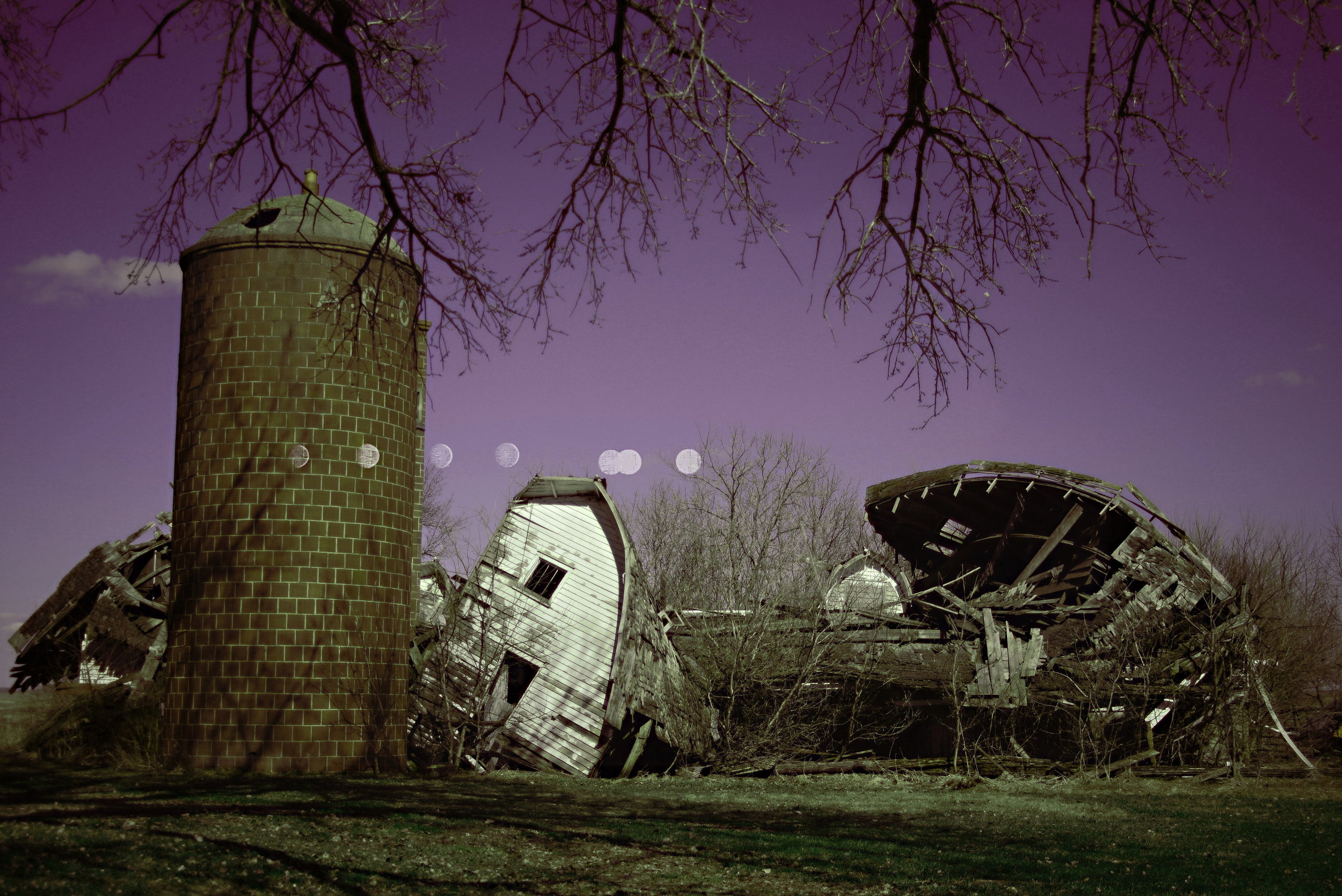 c DSC_5627 2a sharp.jpg