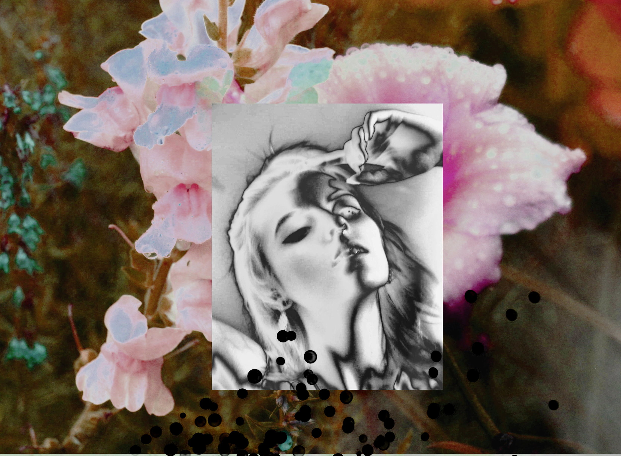 c DSC_7475 2d frame 2.jpg