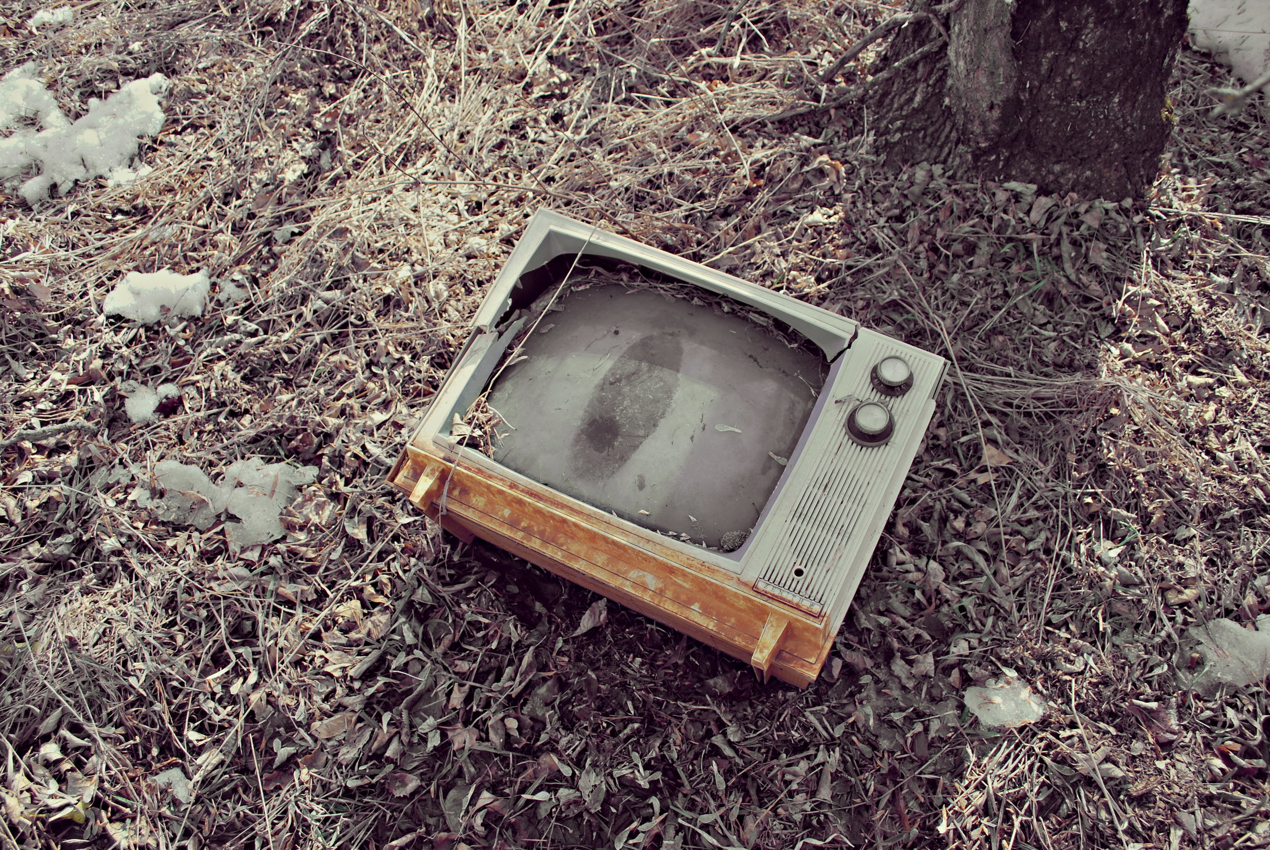 4449879800_ccce94b184_o.jpg