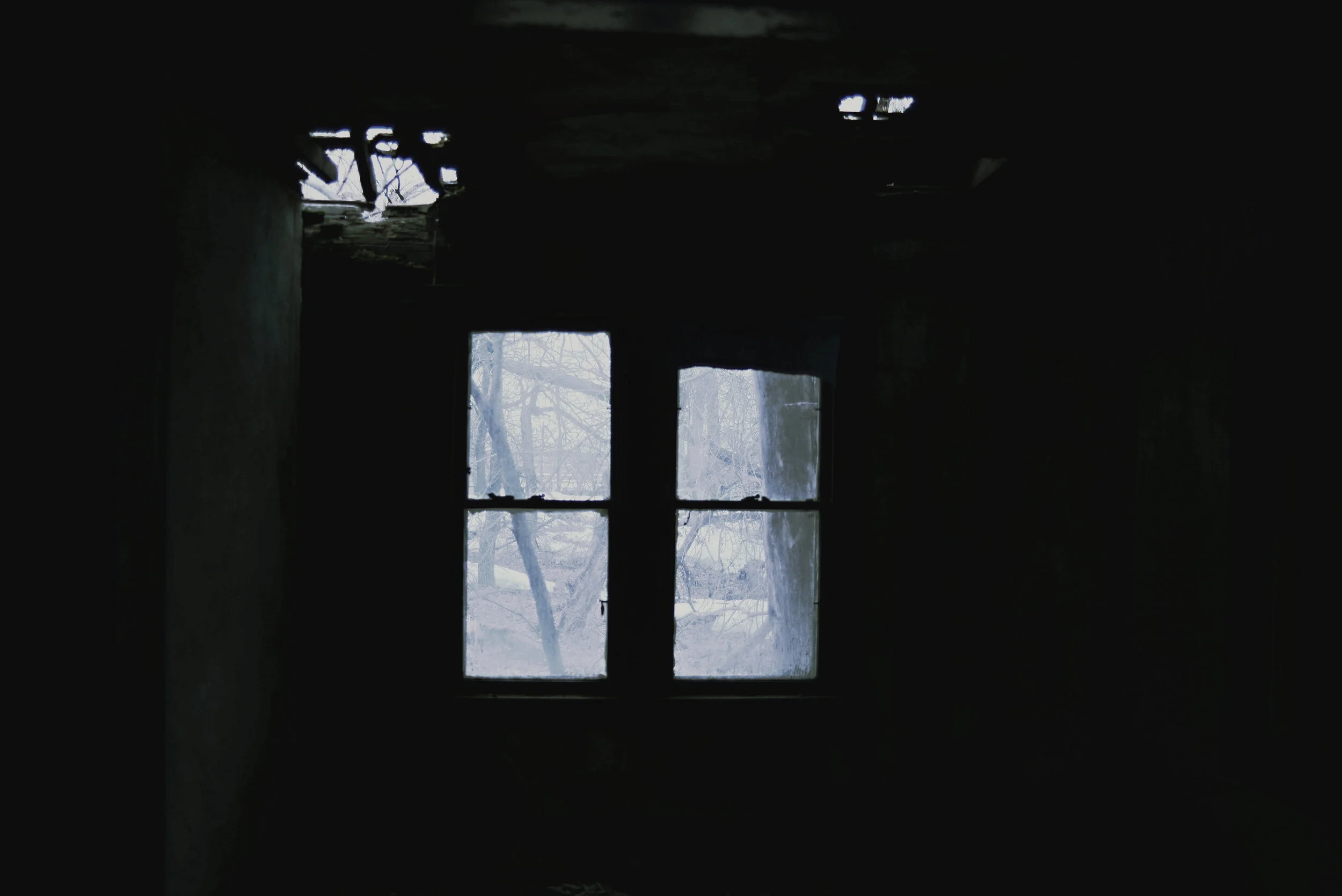 c DSC_3555.jpg