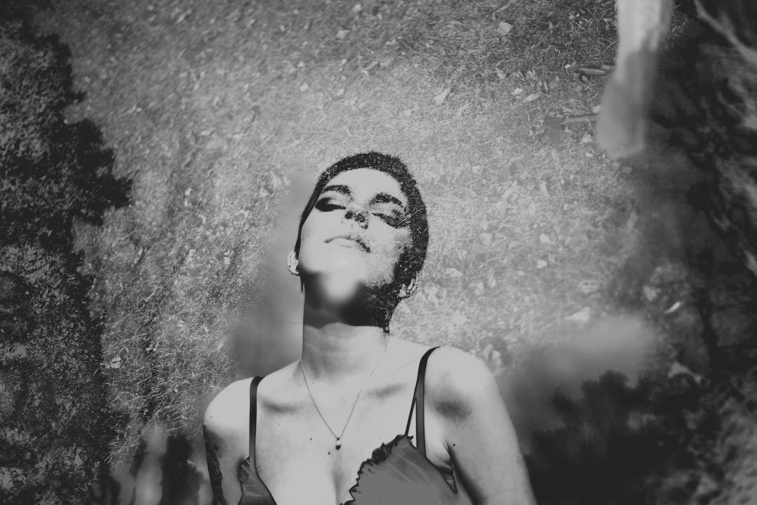 c DSC_3835 - Copy-2.jpg