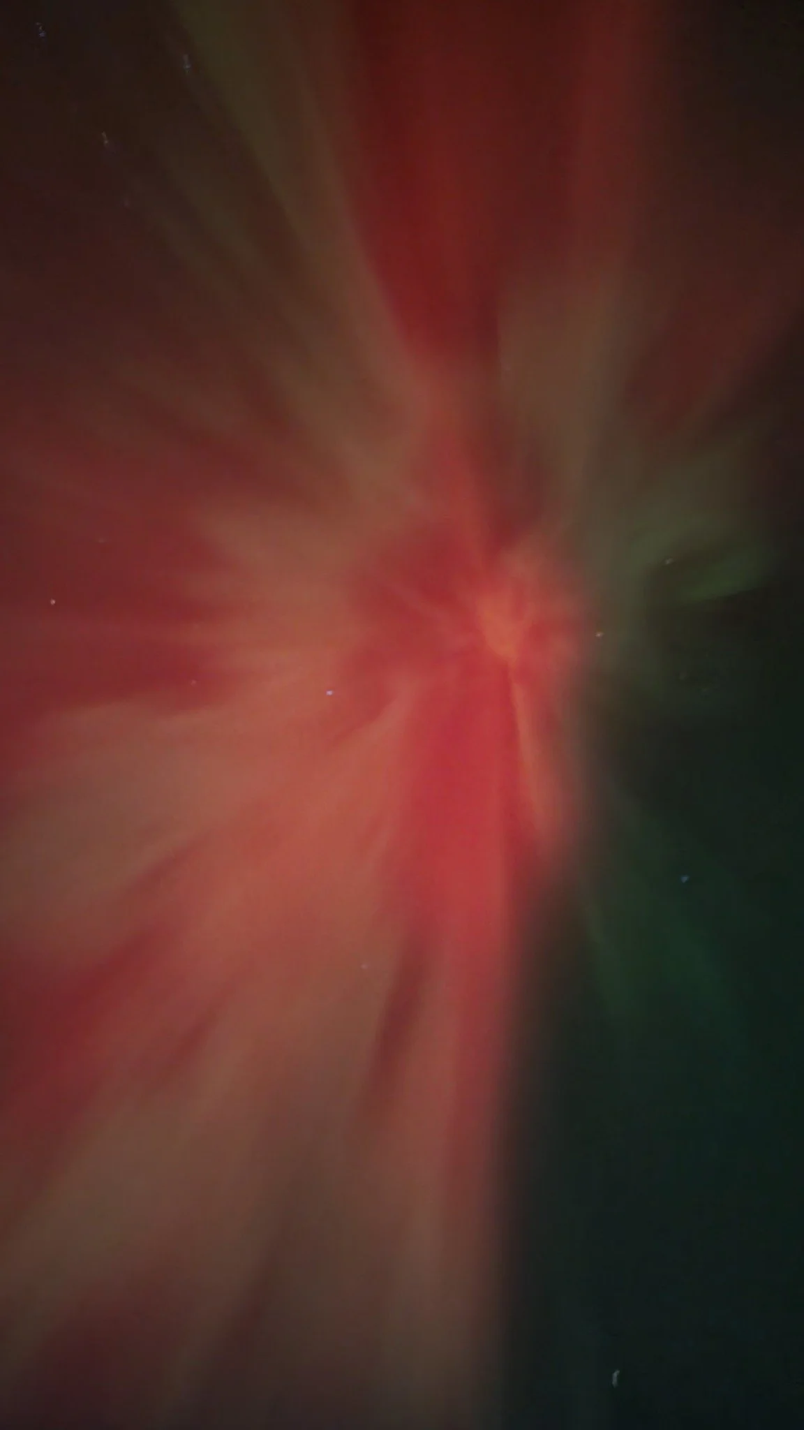  Website  |  Facebook  |  Instagram  |  Tiktok  
