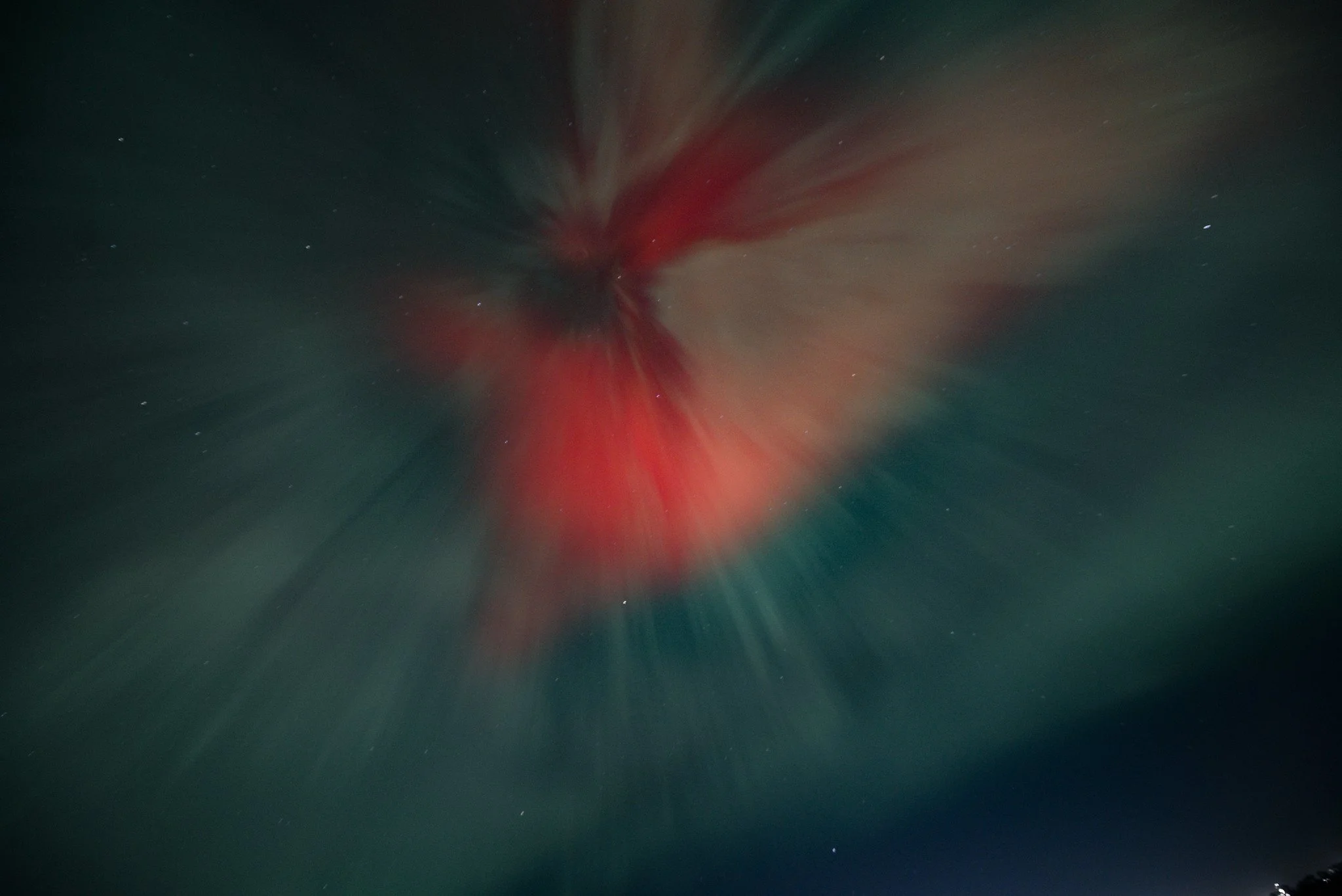  Website  |  Facebook  |  Instagram  |  Tiktok  
