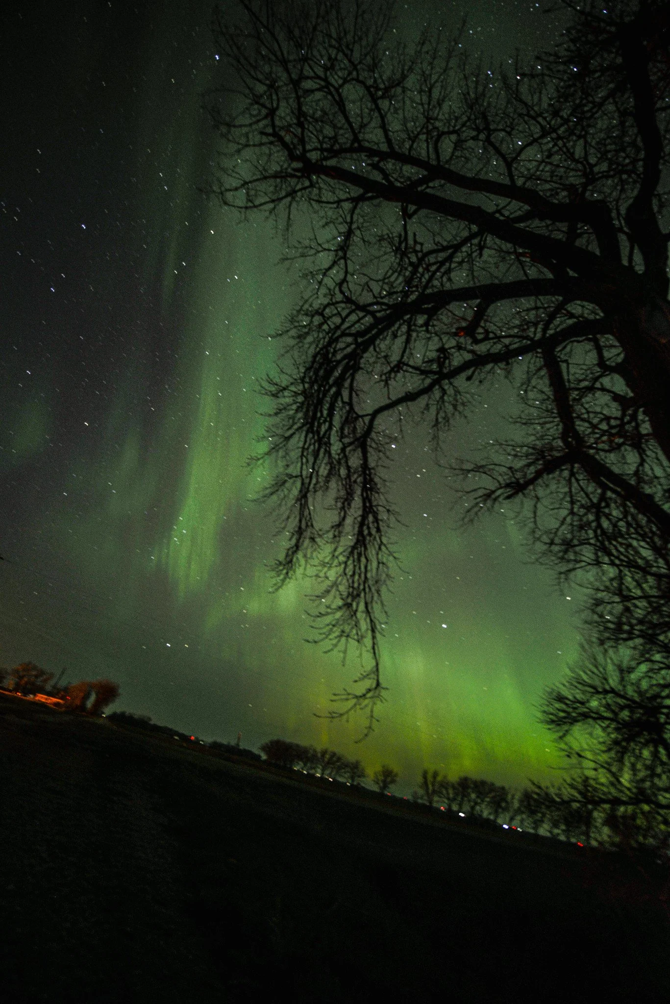  Website  |  Facebook  |  Instagram  |  Tiktok  
